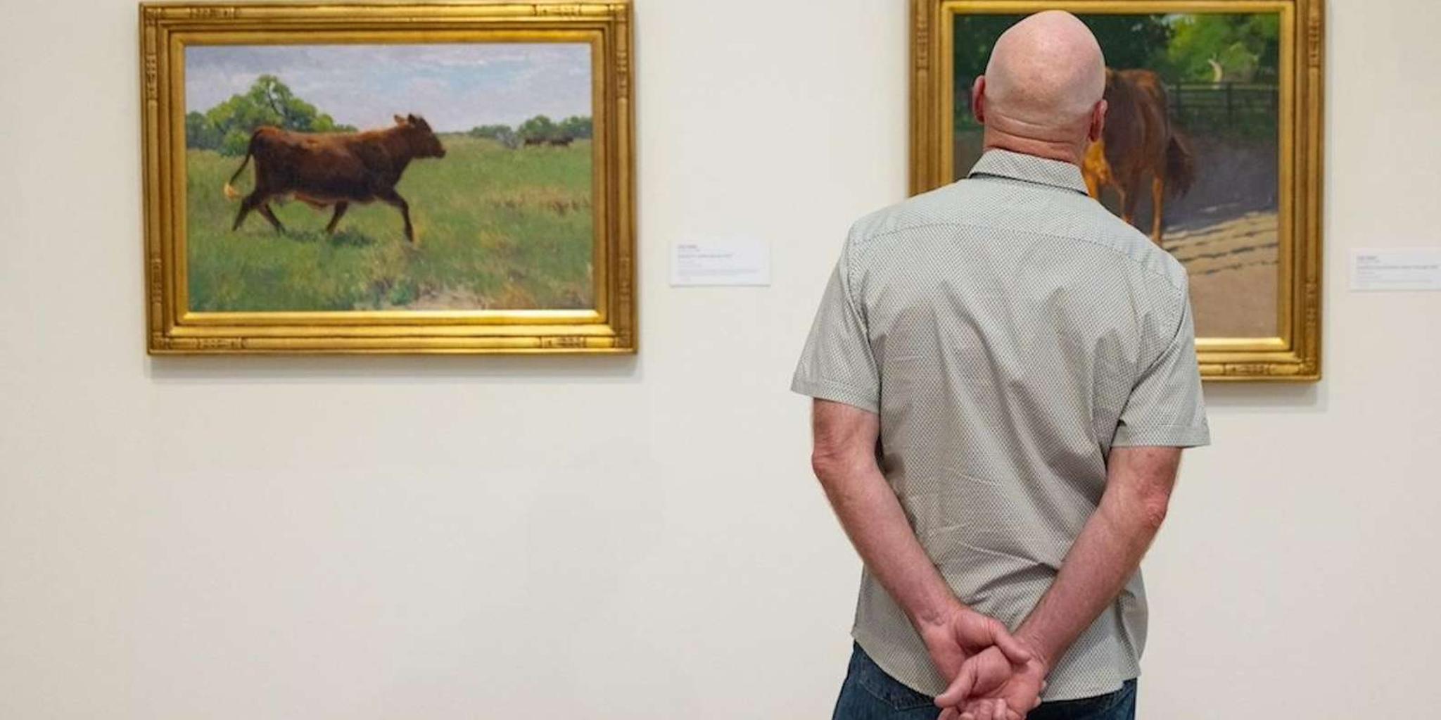 Corpus Christi Art Museum Entry Ticket - Image 5