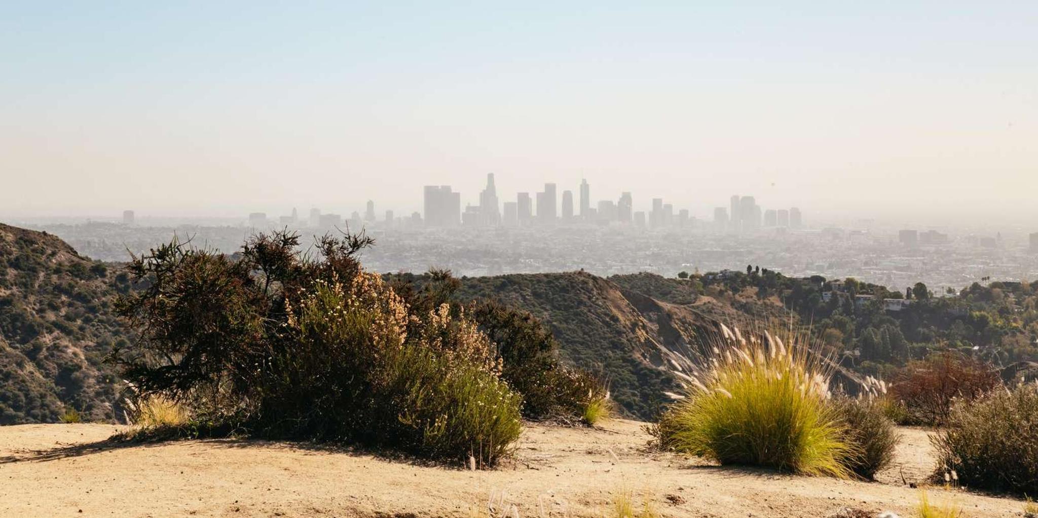 Los Angeles Hollywood Sign Walking Tour - Image 3