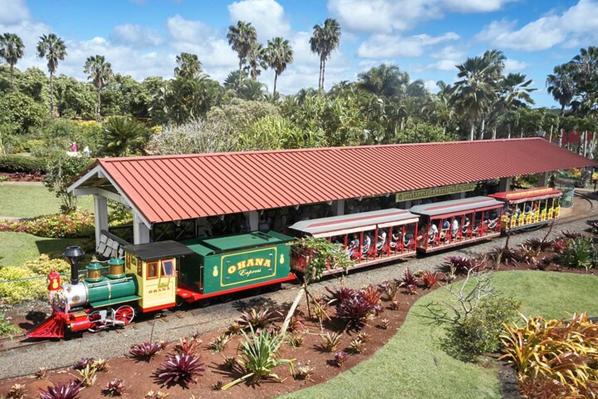 Oahu Haleiwa & Dole Plantation Tour - Image 6