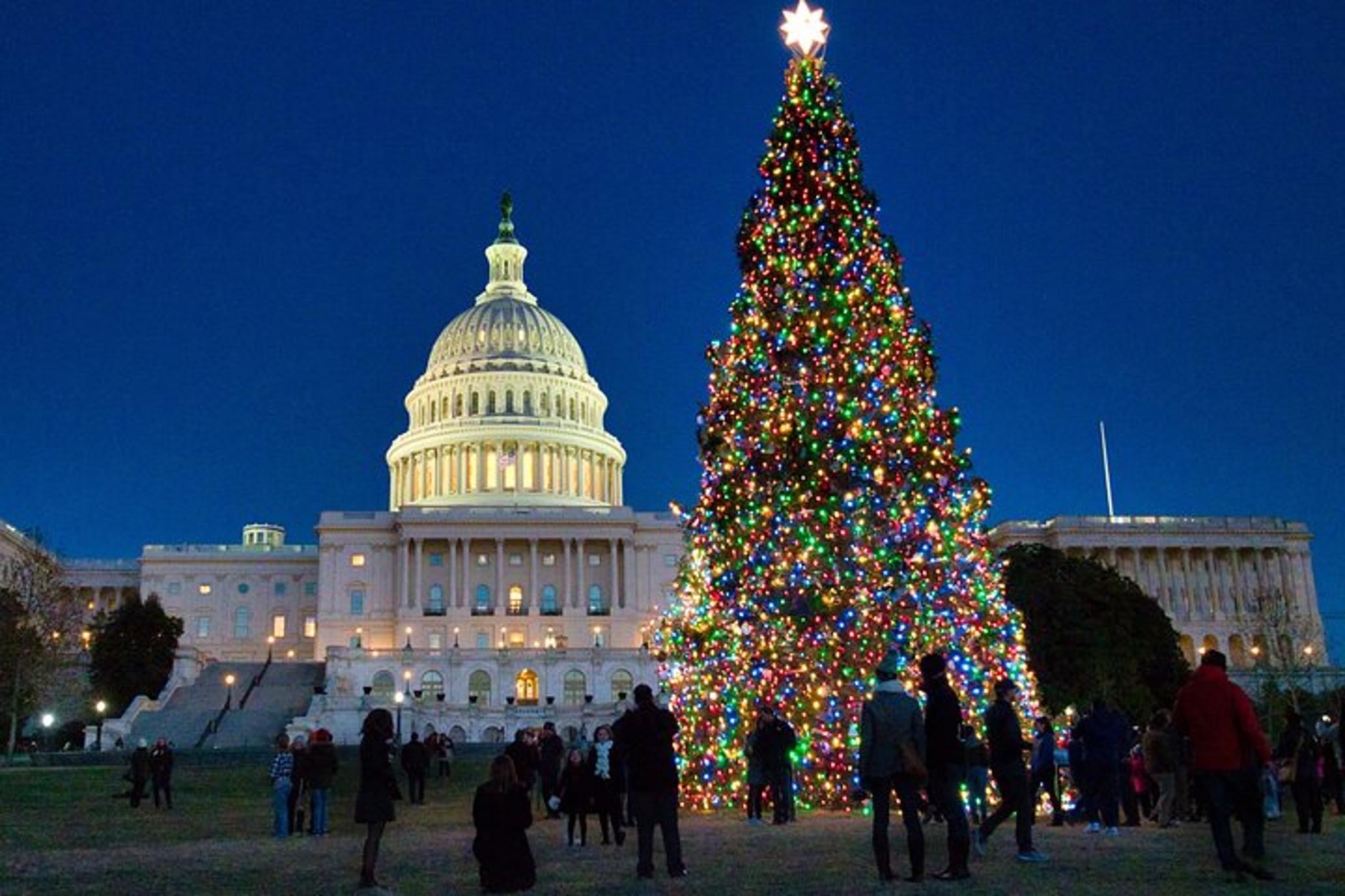 Washington, DC Holiday Lights Night Bus Tour