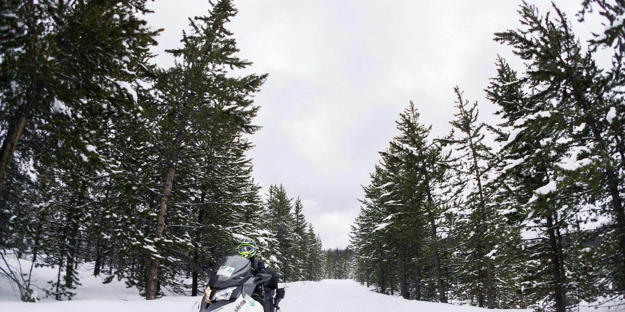 Jackson Snowmobile Rental with Gear & Trailer 8.5 hr - Image 5