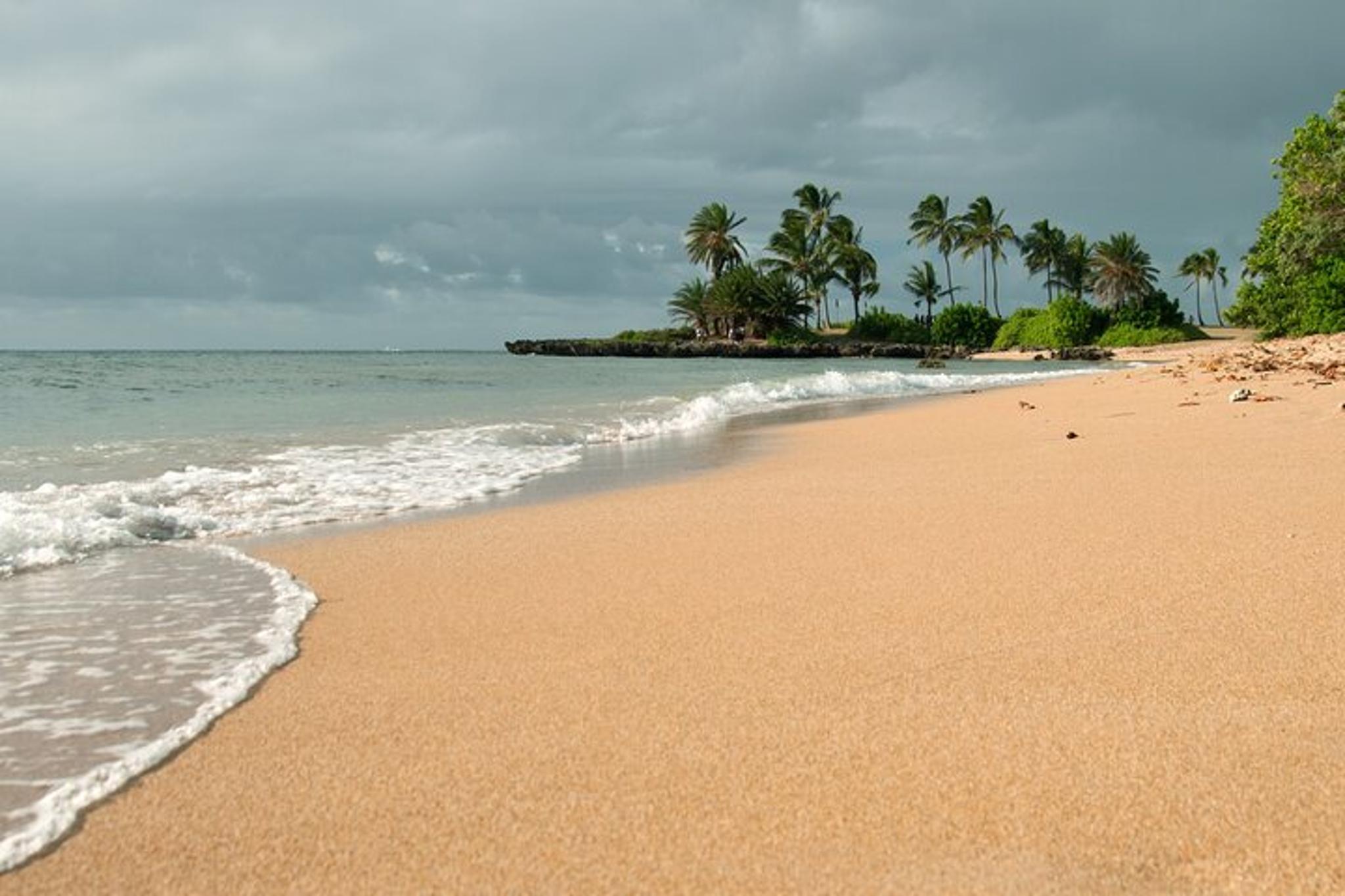 O‘ahu Landmarks and Architecture Guided Tour - Image 5