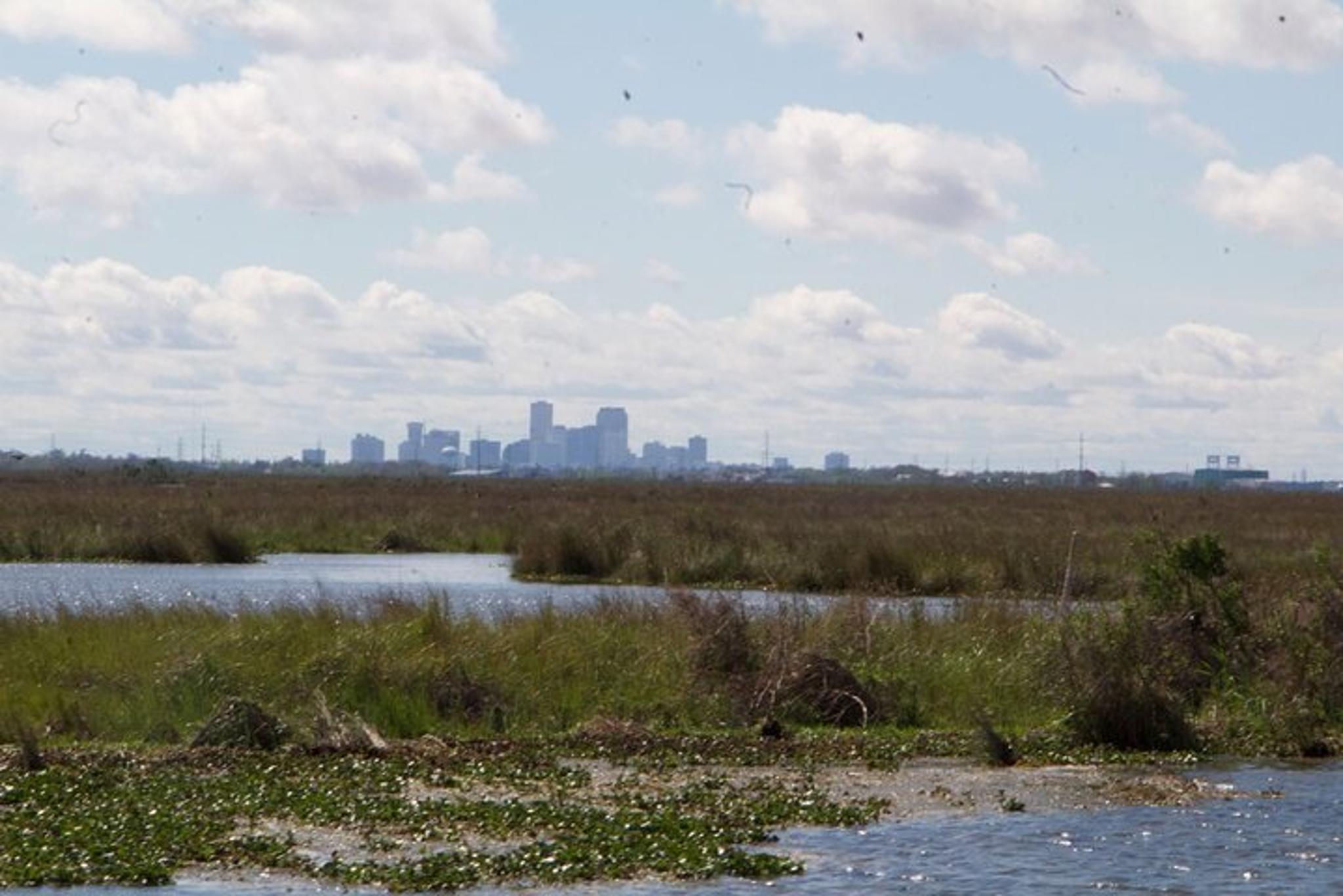 New Orleans Kayak Bayou Swamp Tour - Image 2