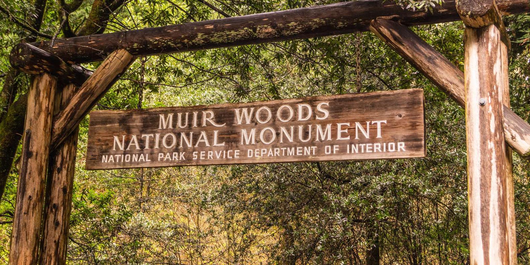 San Francisco Golden Gate Sausalito Muir Woods Tour - Image 1