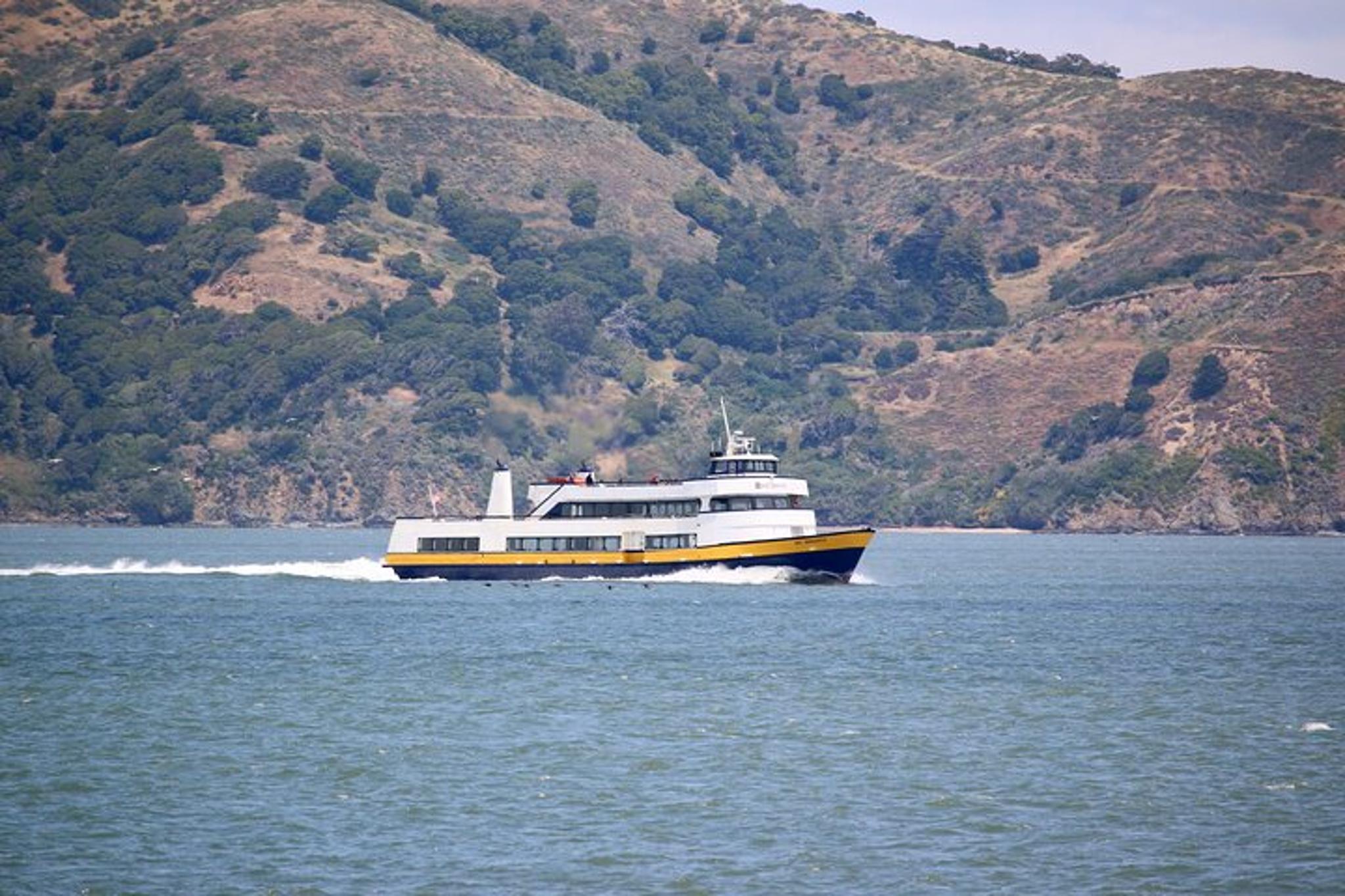 San Francisco Sausalito Ferry - Image 5