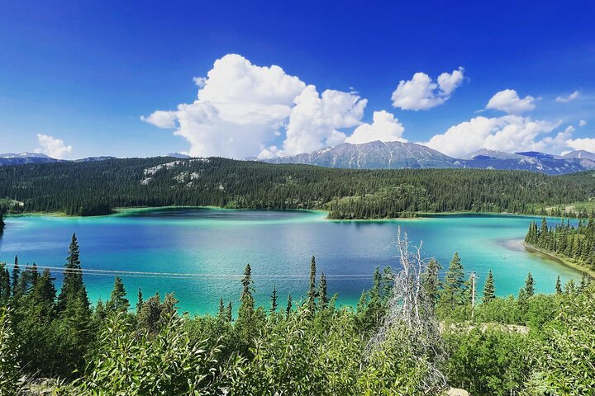 Skagway Shore Excursion to Emerald Lake - Image 4