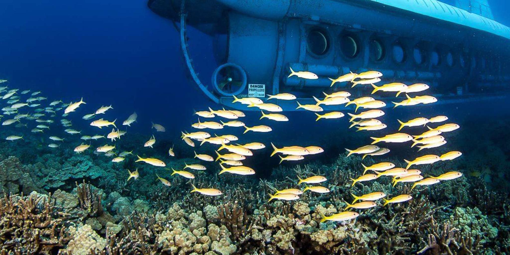 Kona Submarine Adventure