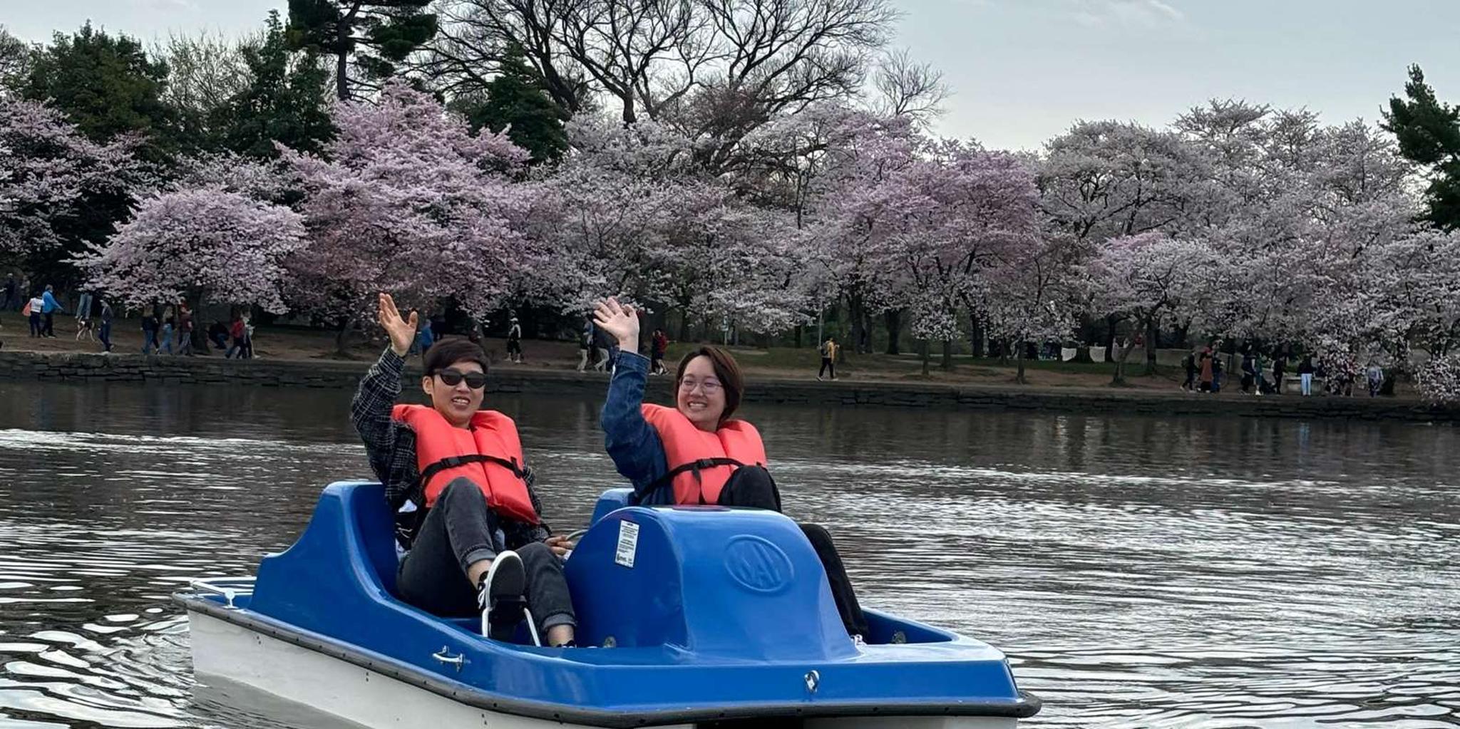 Washington DC Tidal Basin Pedal Boat Rental - Image 3