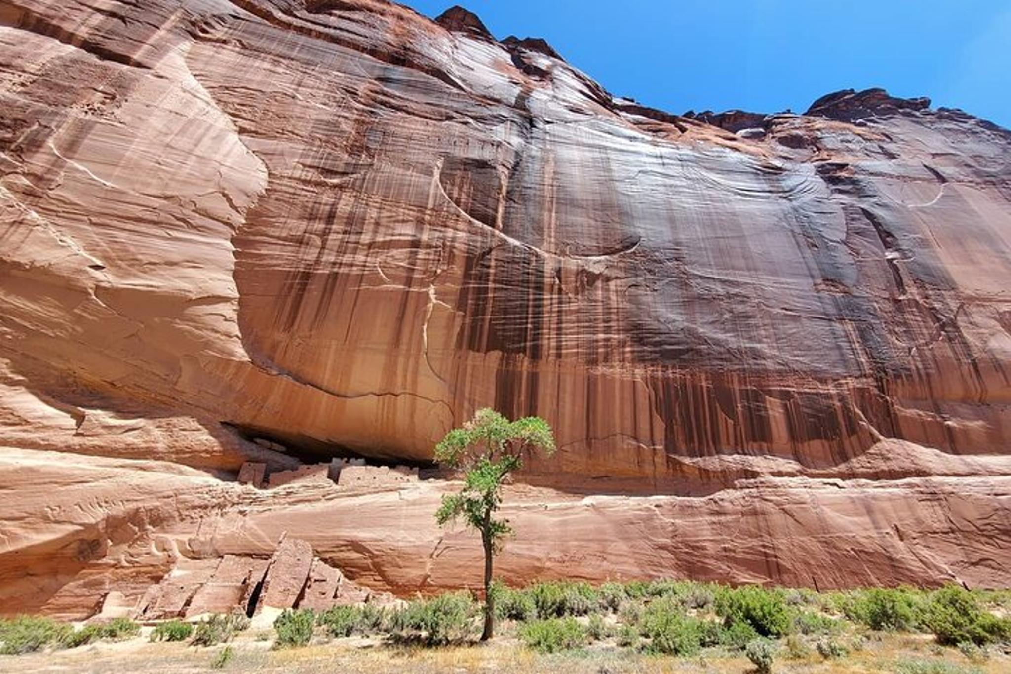 Canyon de Chelly Private Canyon Tour 3 hr - Image 3