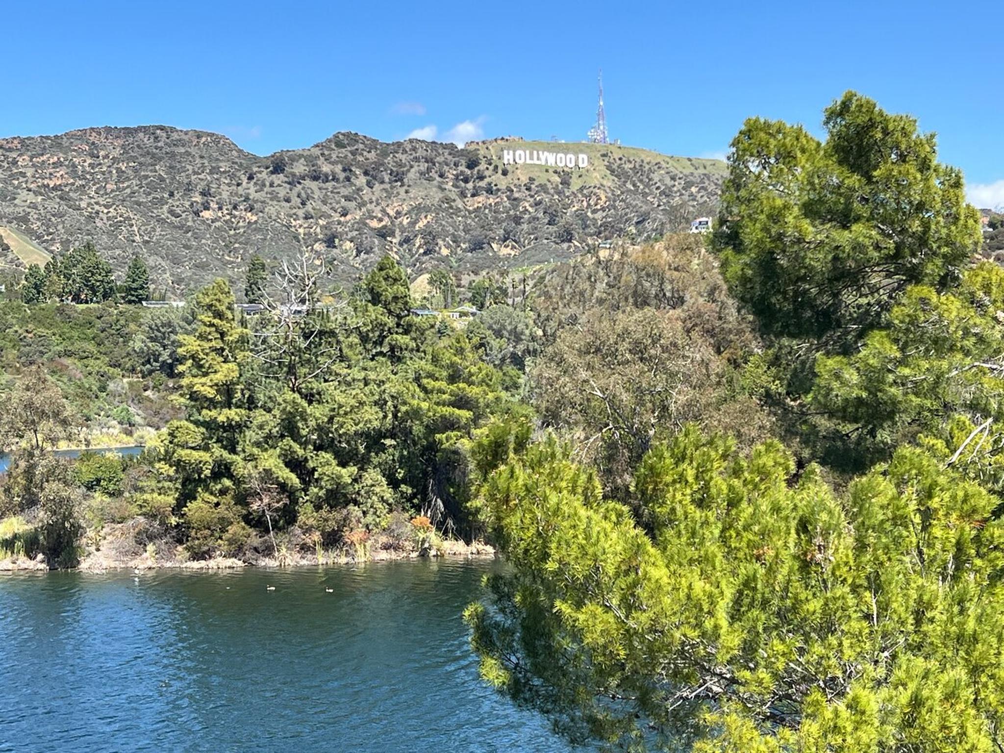 Los Angeles Hollywood Bus Tour 2 hr - Image 6