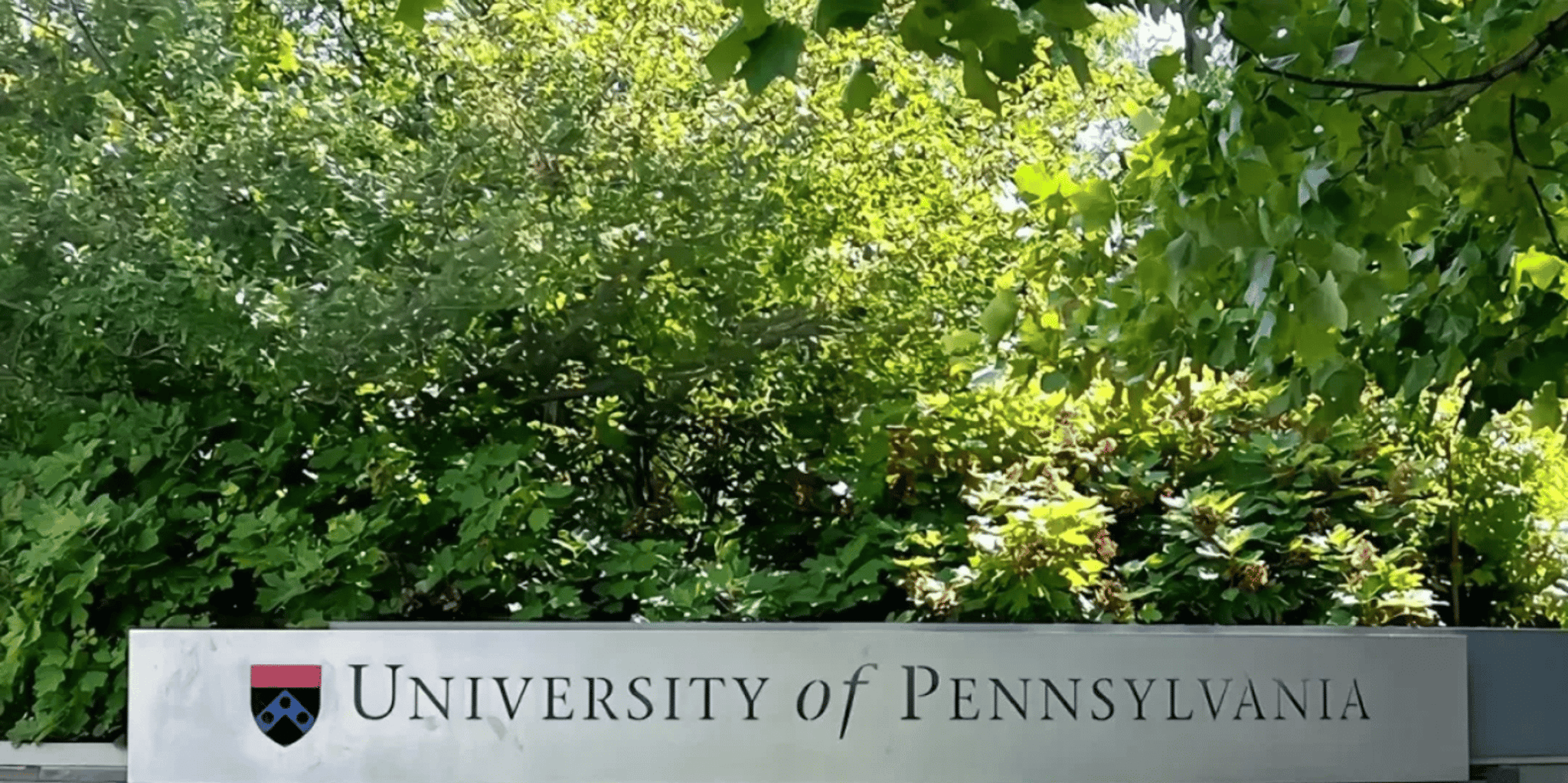 Philadelphia University of Pennsylvania Guided Tour - Image 2