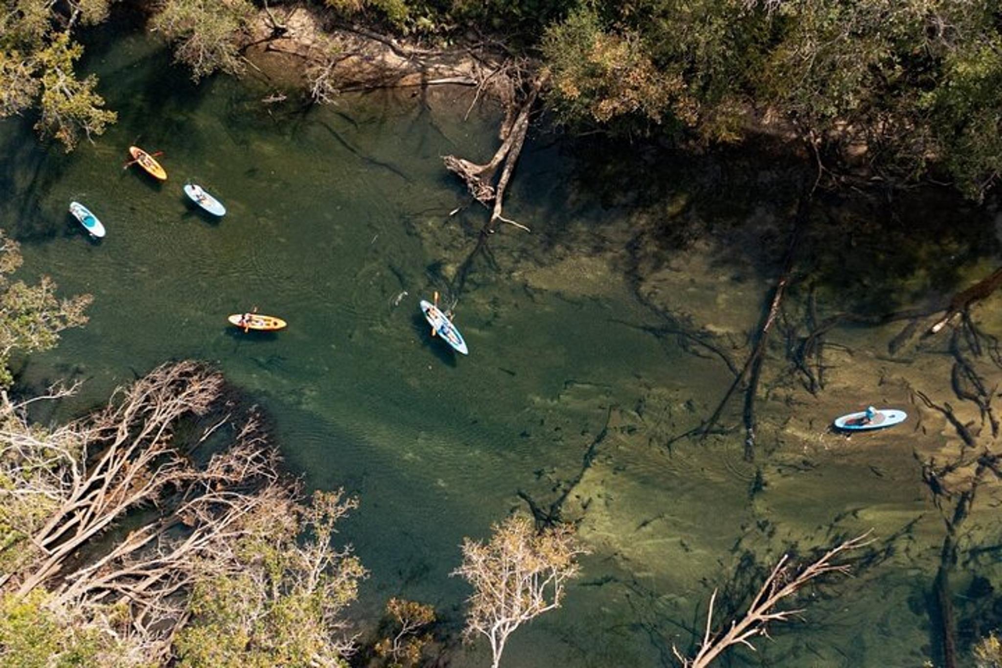 Panama City Kayak and Snorkel Eco Adventure - Image 5