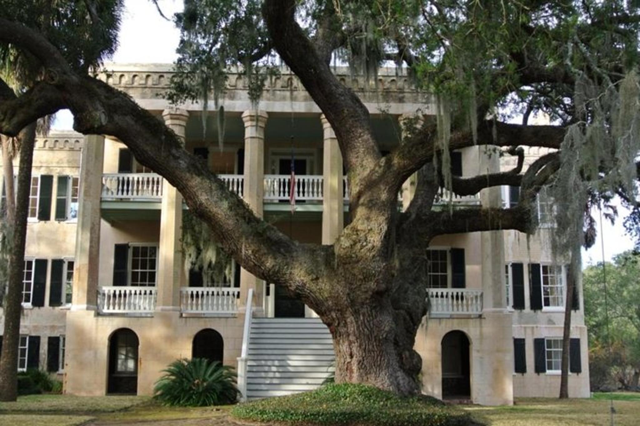 Beaufort City Minibus Tour 75 min - Image 2