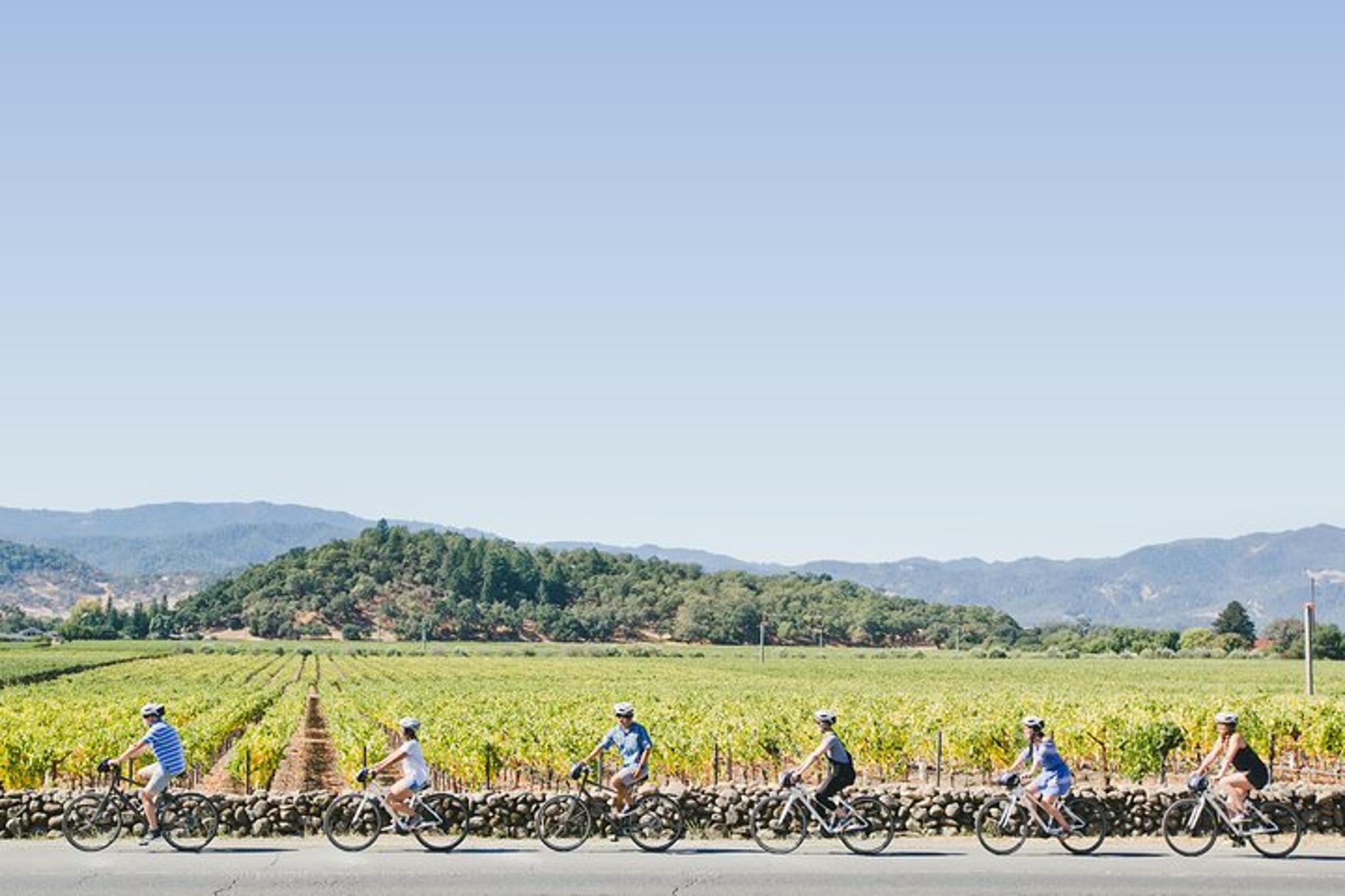 Napa Valley E-Bike Winery Tour with Picnic Lunch