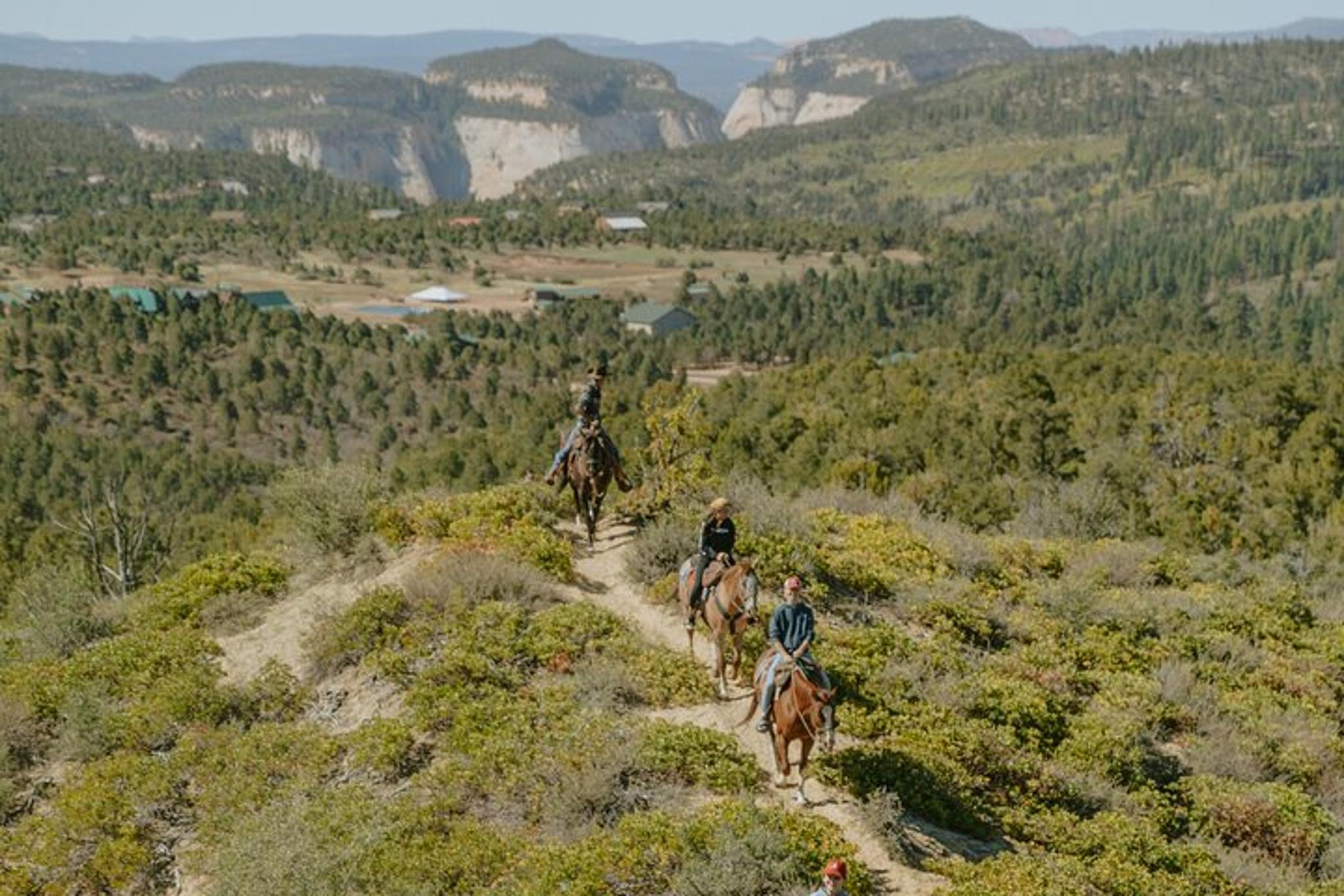 Zion Horseback Ride at Pine Knoll 2 hr - Image 3