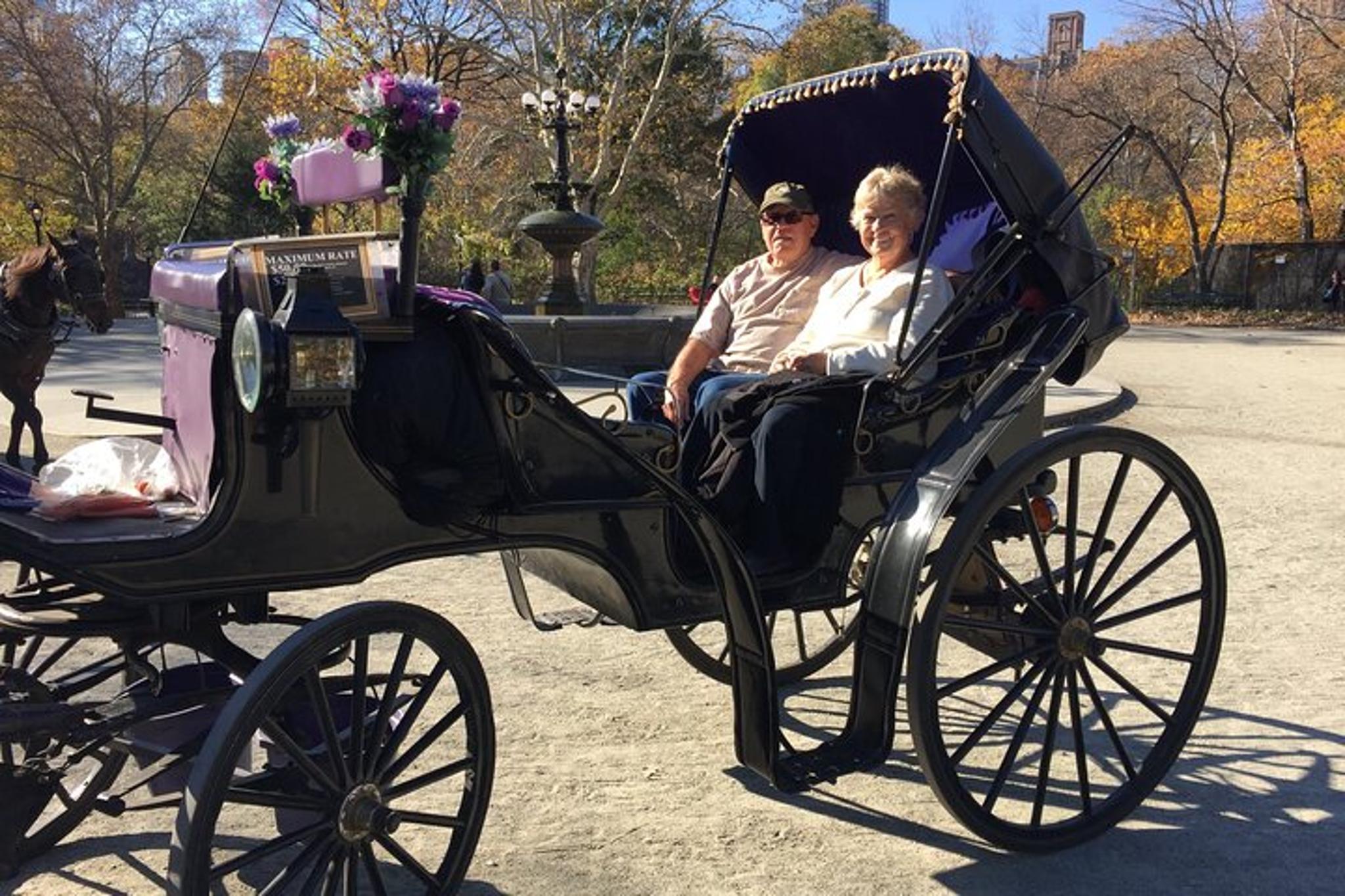 New York Central Park Horse Carriage Ride 45 Min - Image 6