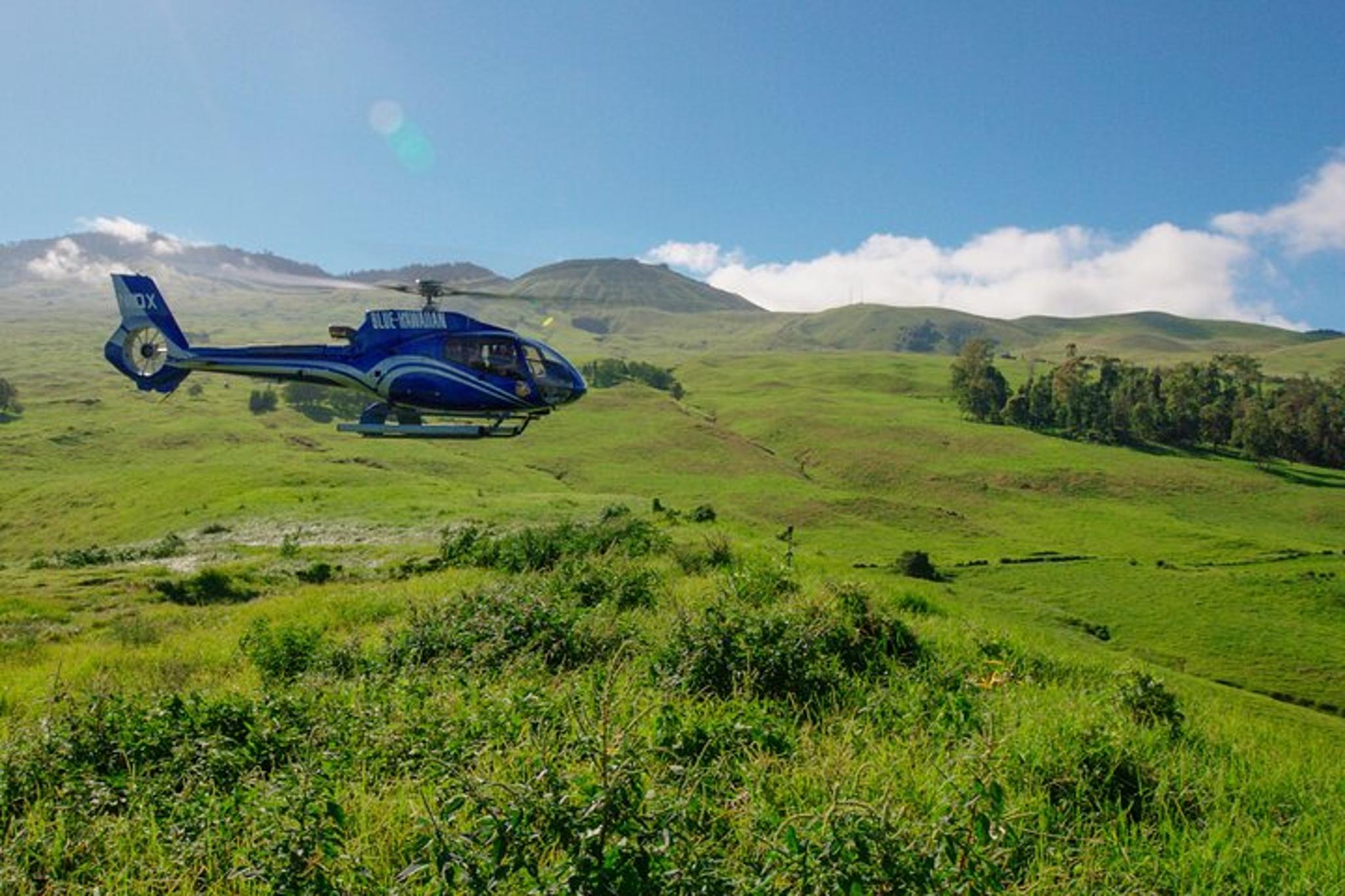 Maui & Molokai Helicopter Tour with Landing - Image 4