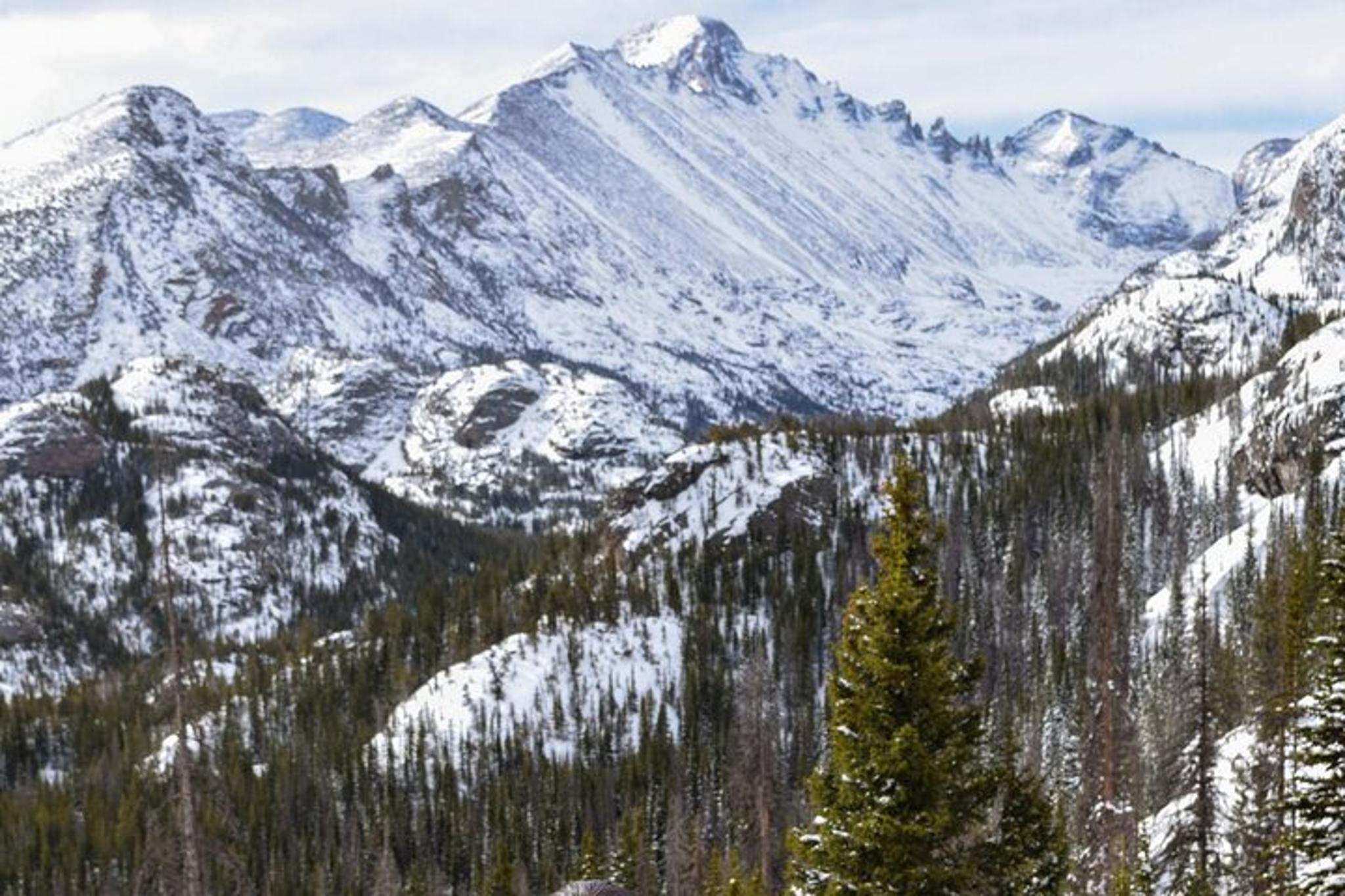 Rocky Mountain National Park Wildlife Hiking Tour - Image 4