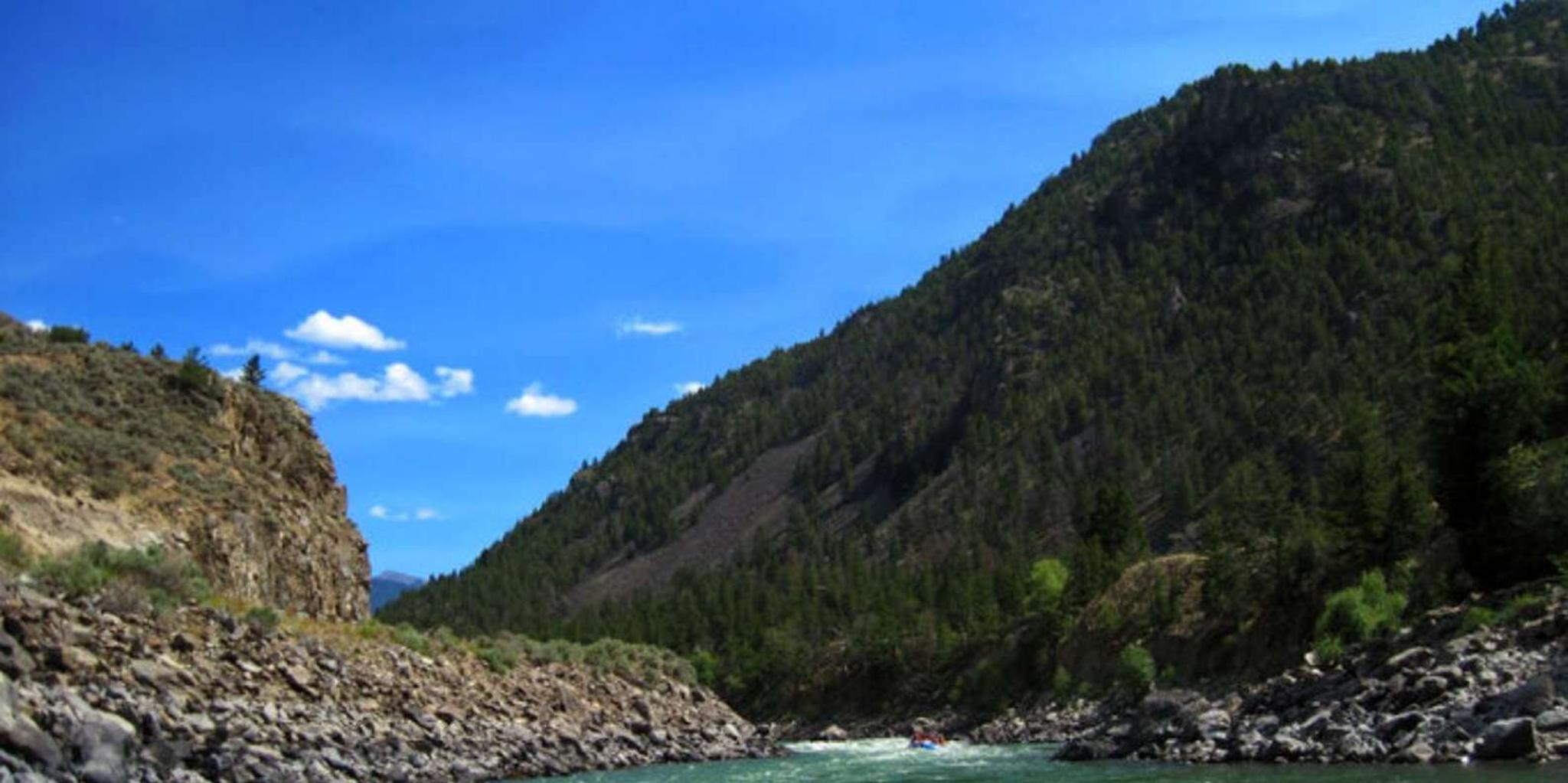 Gardiner Yellowstone River Whitewater Rafting 2 hr - Image 4