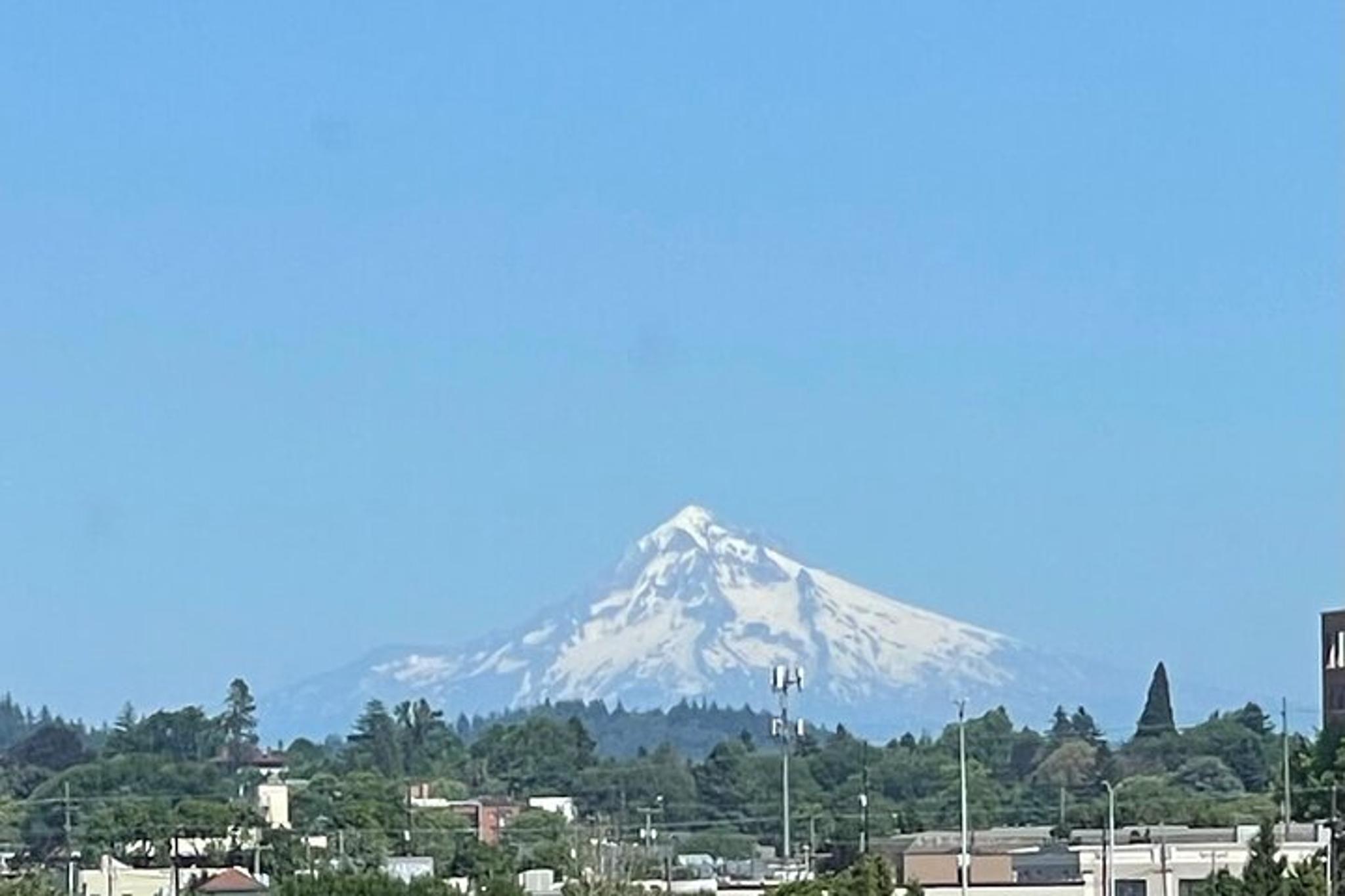 Portland Food History Adventure - Image 6