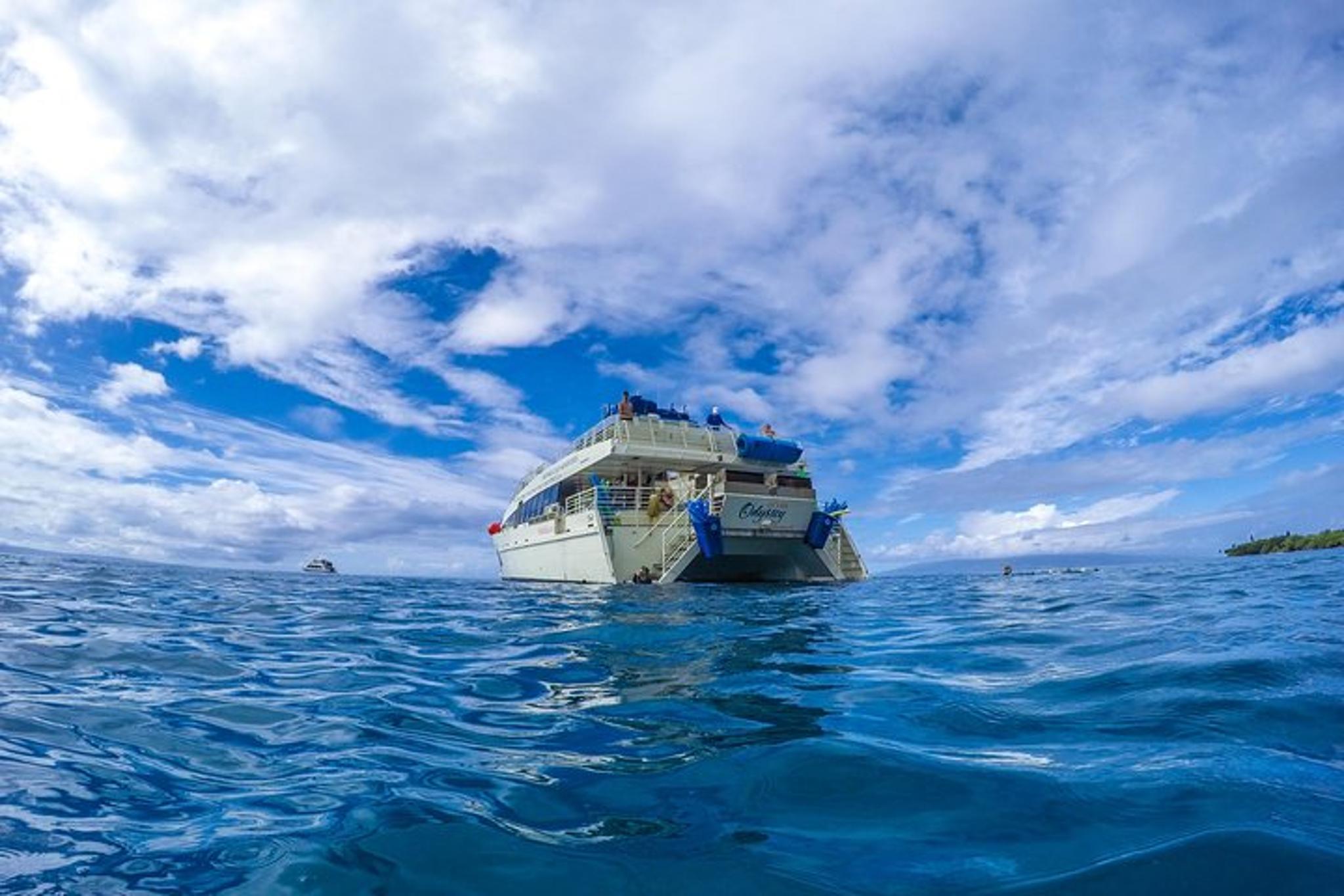 Ma'alaea Harbor Snorkeling Tour to Molokini and Turtle Arches - Image 4
