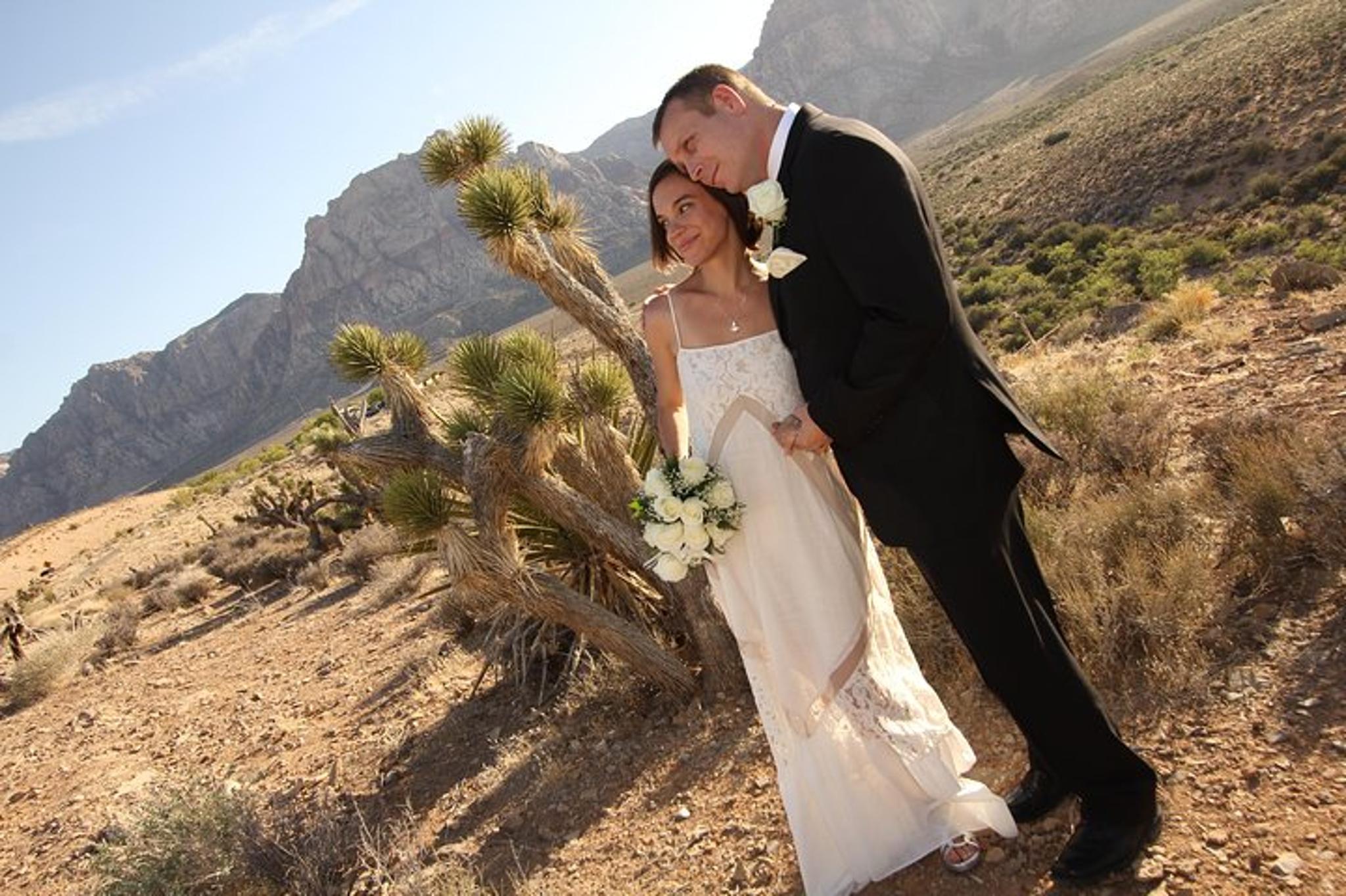 Las Vegas Red Rock Canyon Wedding by Limousine - Image 6