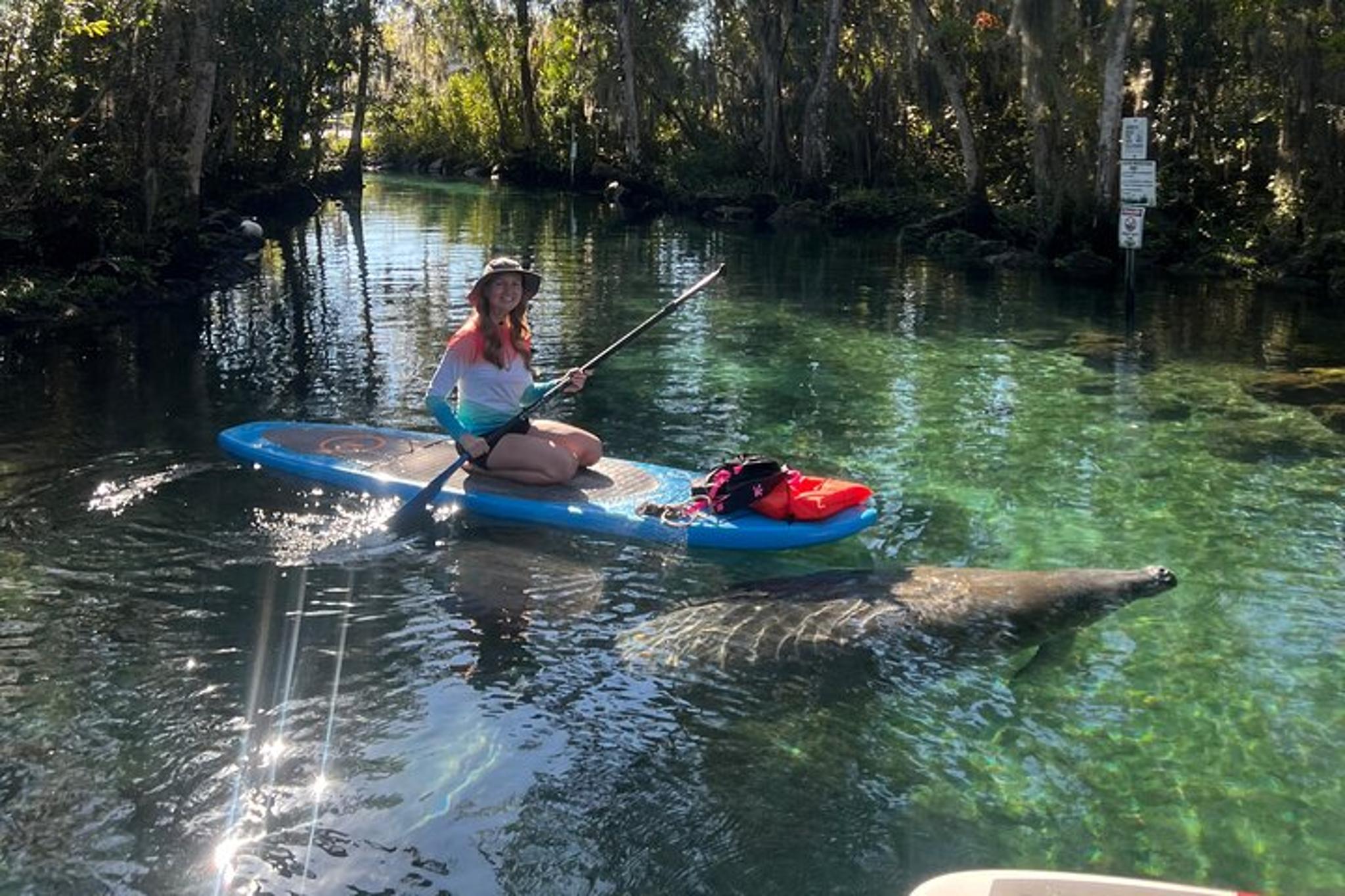 Crystal River Paddle Board Rental with Manatees 3 hr - Image 2