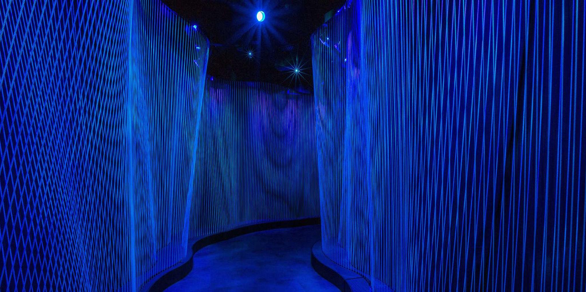 Washington DC Museum of the Bible Admission - Image 5