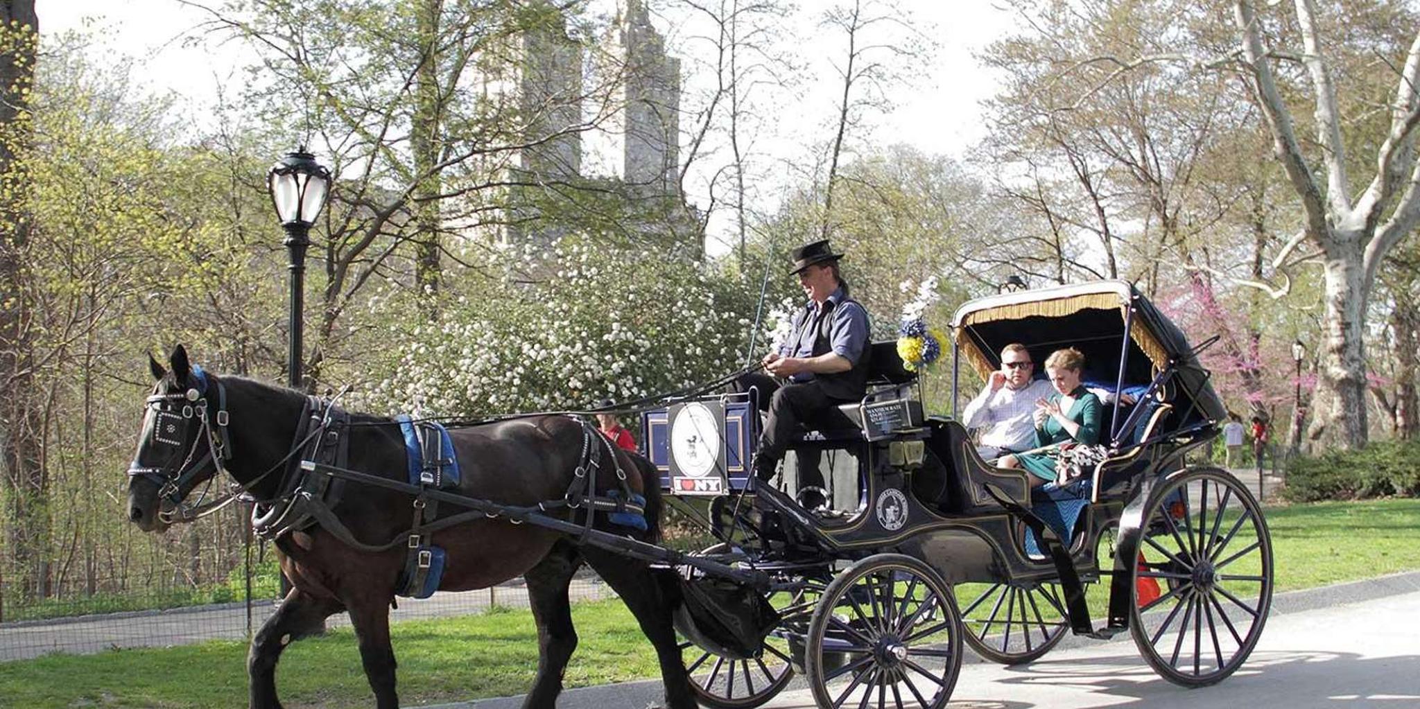 New York City Central Park Horse Carriage Ride