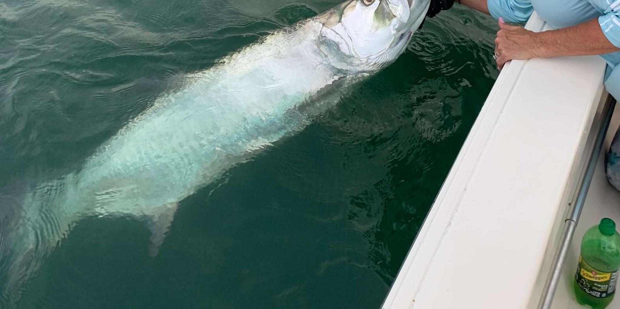 Key West Inshore Fishing Private Charter - Image 3