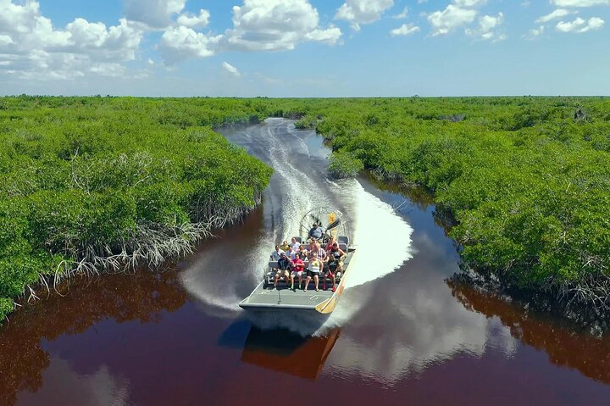 Miami Everglades Airboat Tour - Image 3