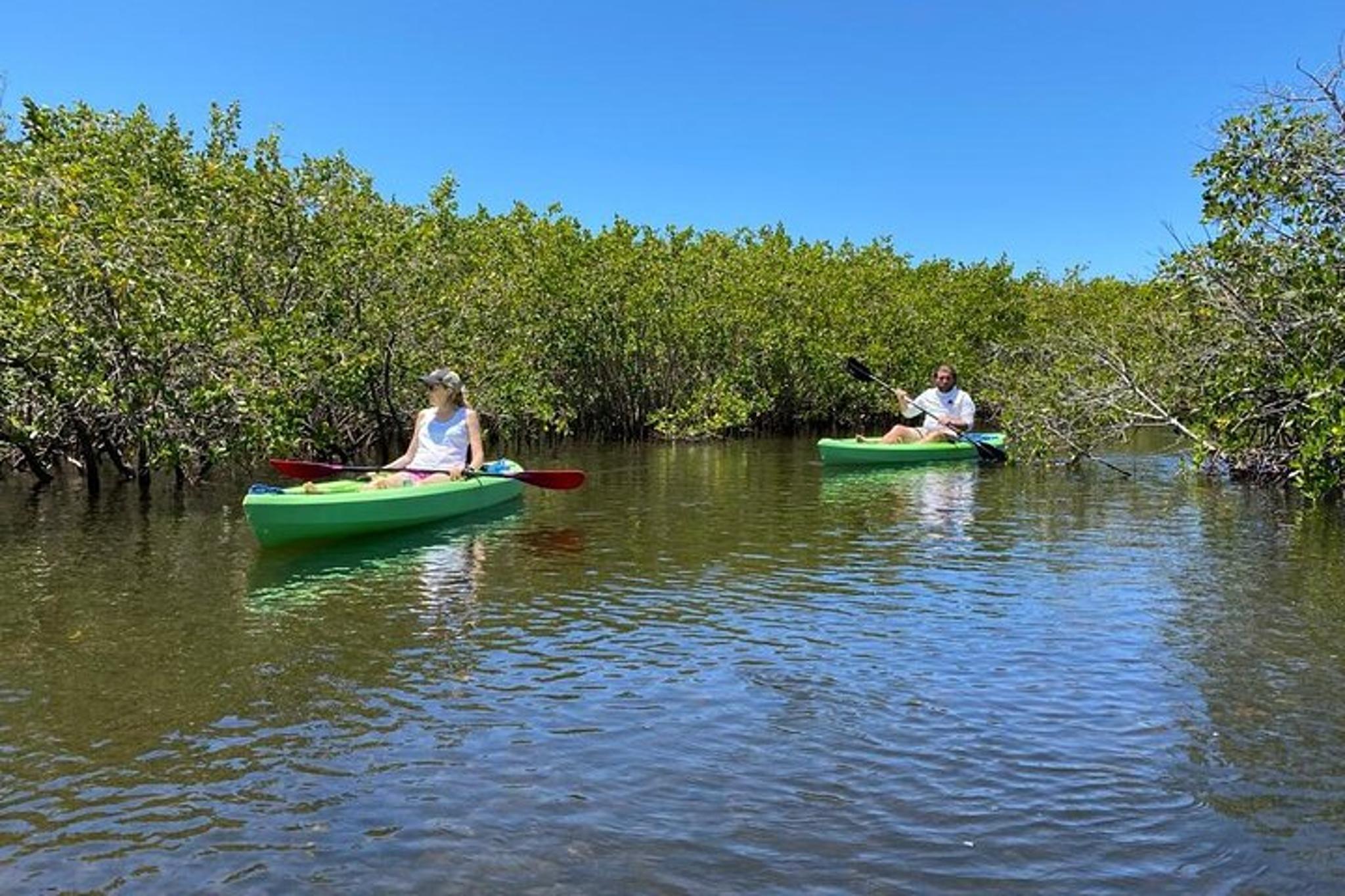 Anclote River Tandem Kayak Tour - Image 2