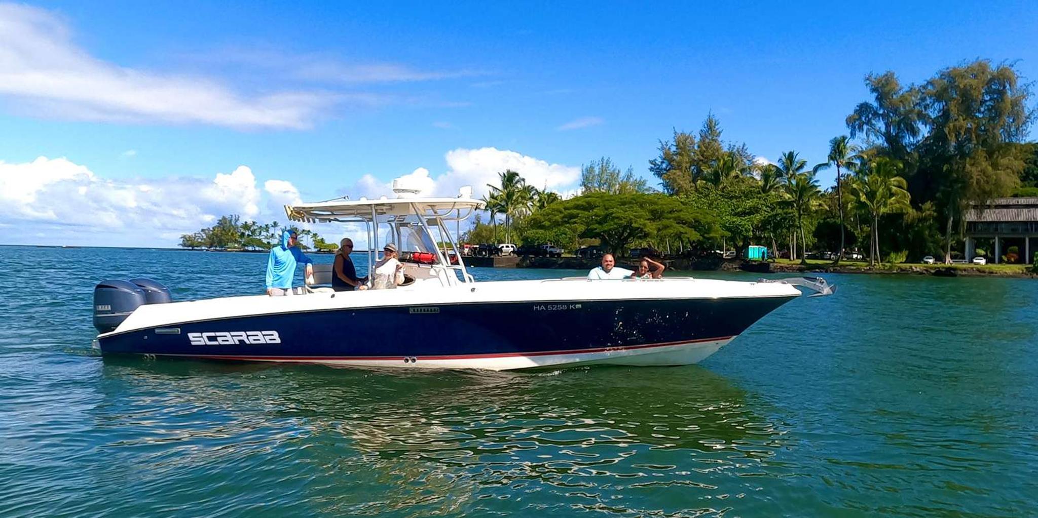 Hilo Snorkel and Wildlife Boat Adventure - Image 3