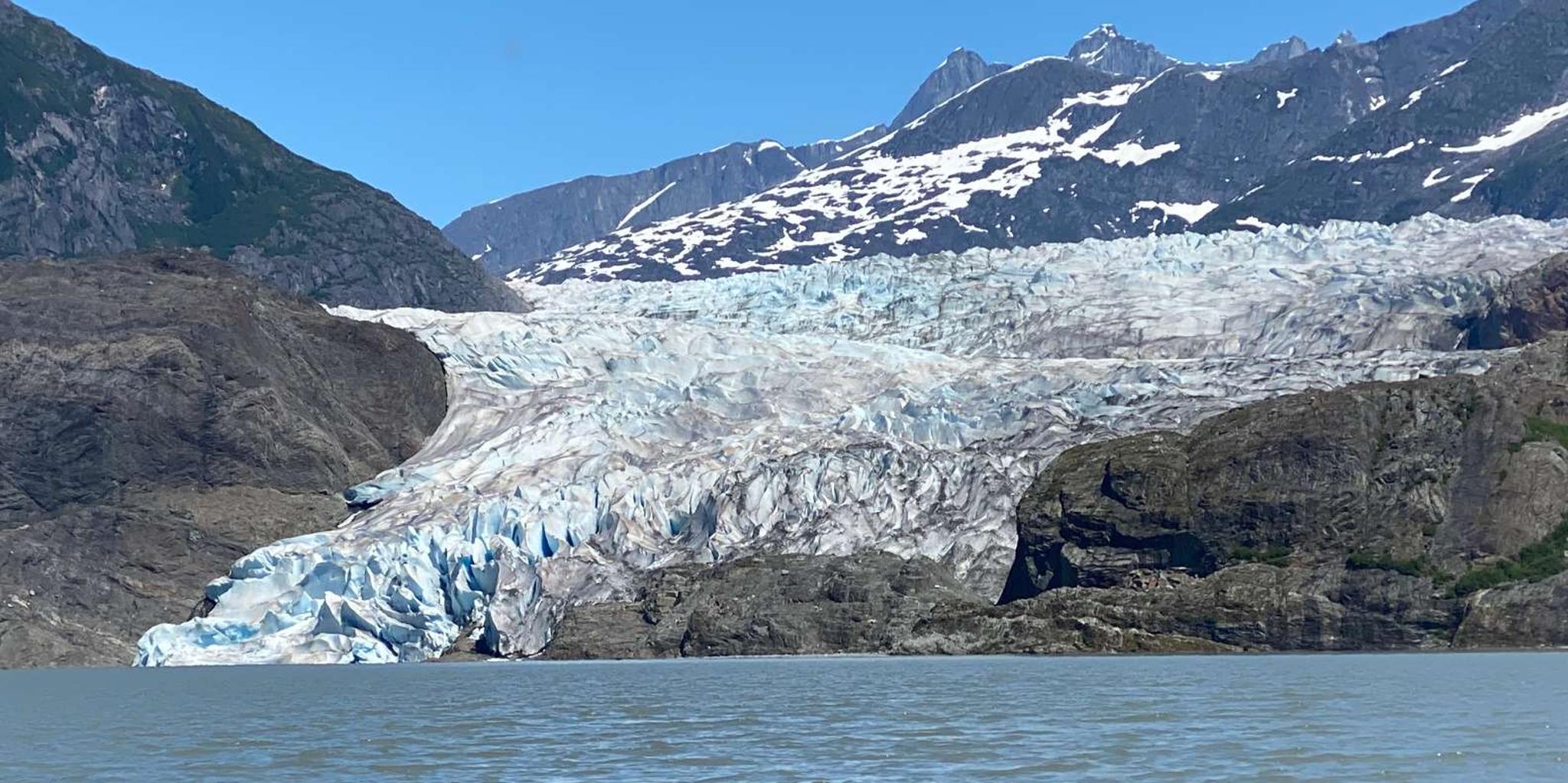 Juneau Mendenhall Glacier and Whale Watching Tour - Image 3