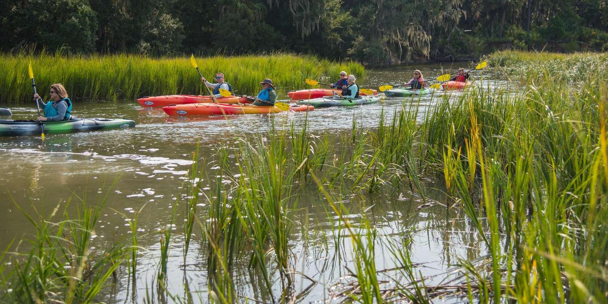 Hilton Head Private Outback Kayak Tour - Image 6