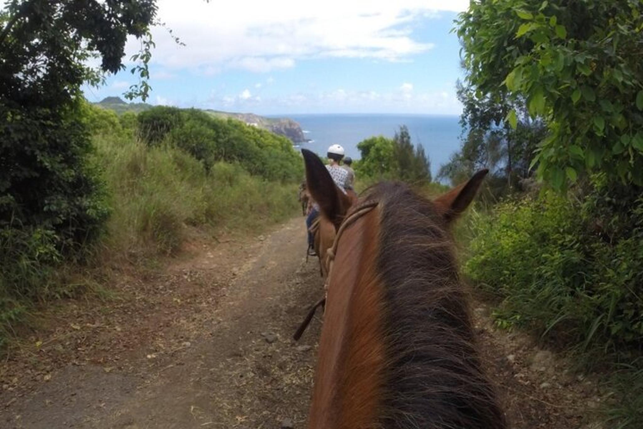 Maui Horseback Adventure at Circle M Ranch - Image 6