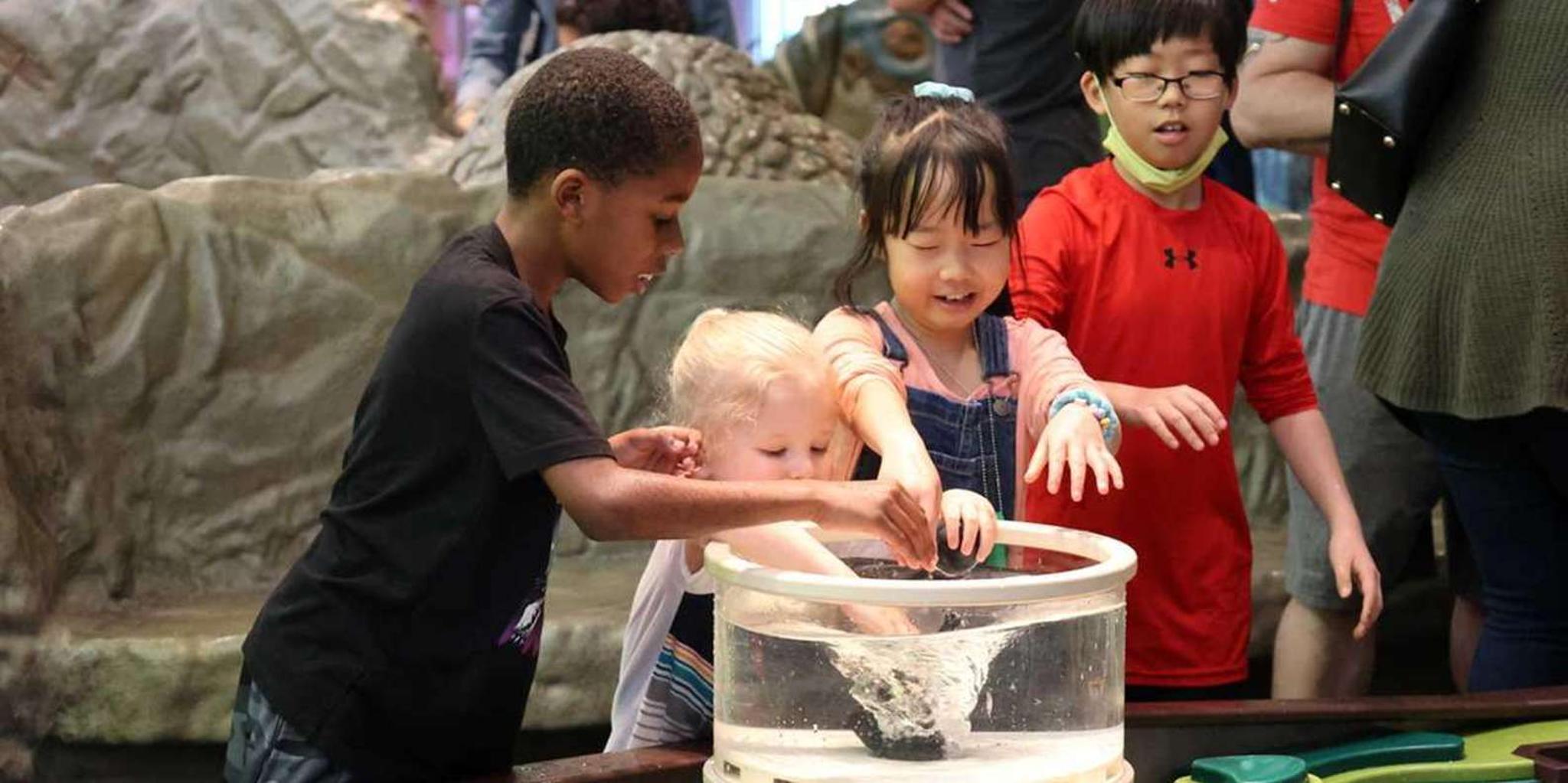 Denver Museum of Nature and Science Entry Ticket - Image 4