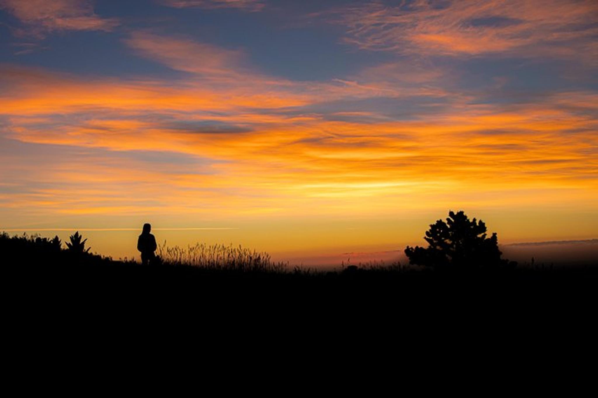 Denver Photography Hiking Tour in the Rockies - Image 3
