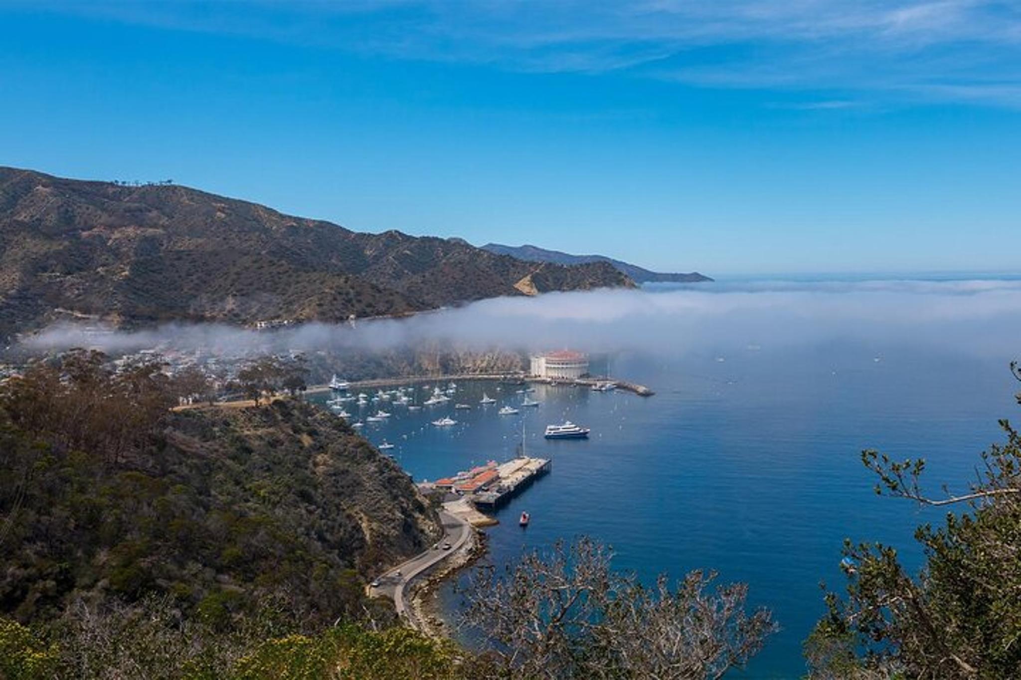 Catalina Island Insider Adventure Tour 2 hr - Image 2