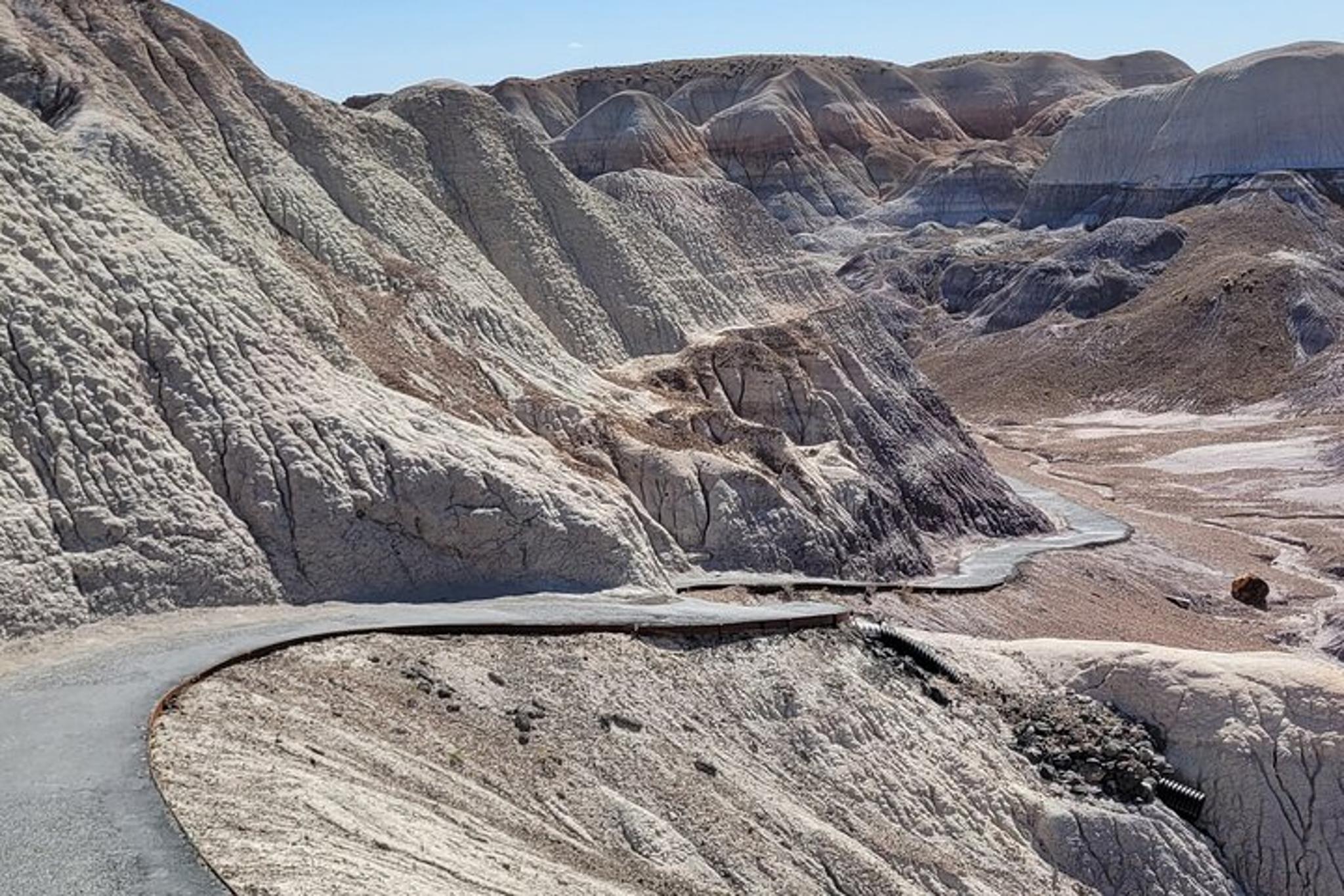 Sedona Petrified Forest and Painted Desert Tour - Image 4