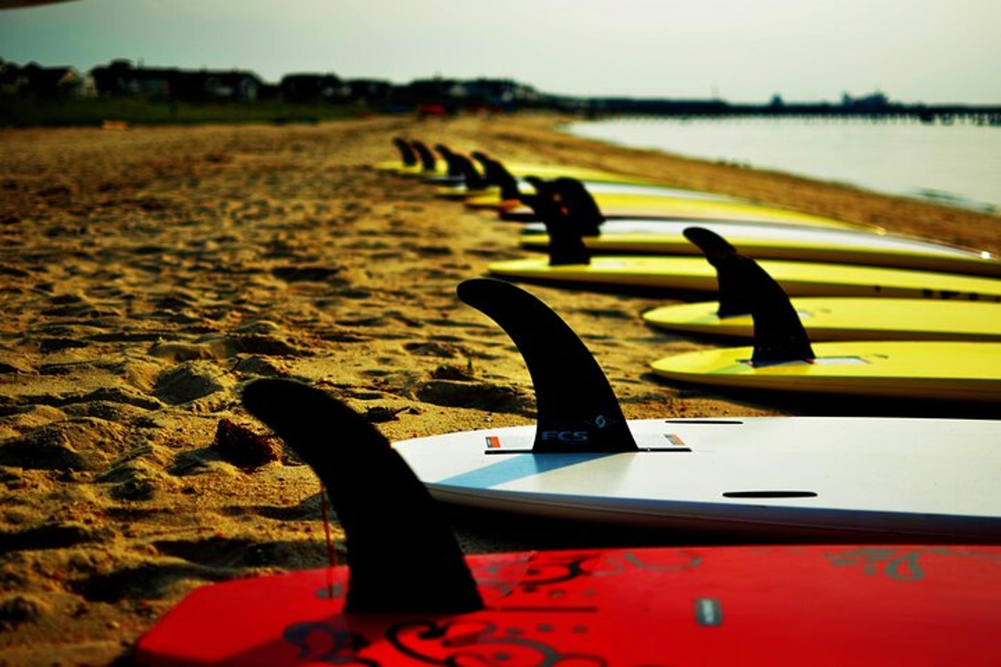 Rehoboth Bay Paddleboard Rental 2 hr - Image 2