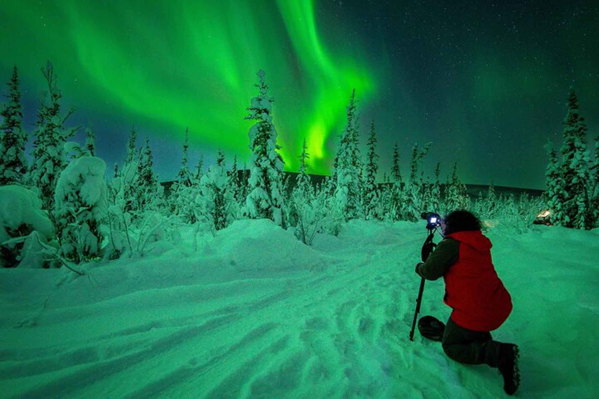 Fairbanks Northern Lights Experience