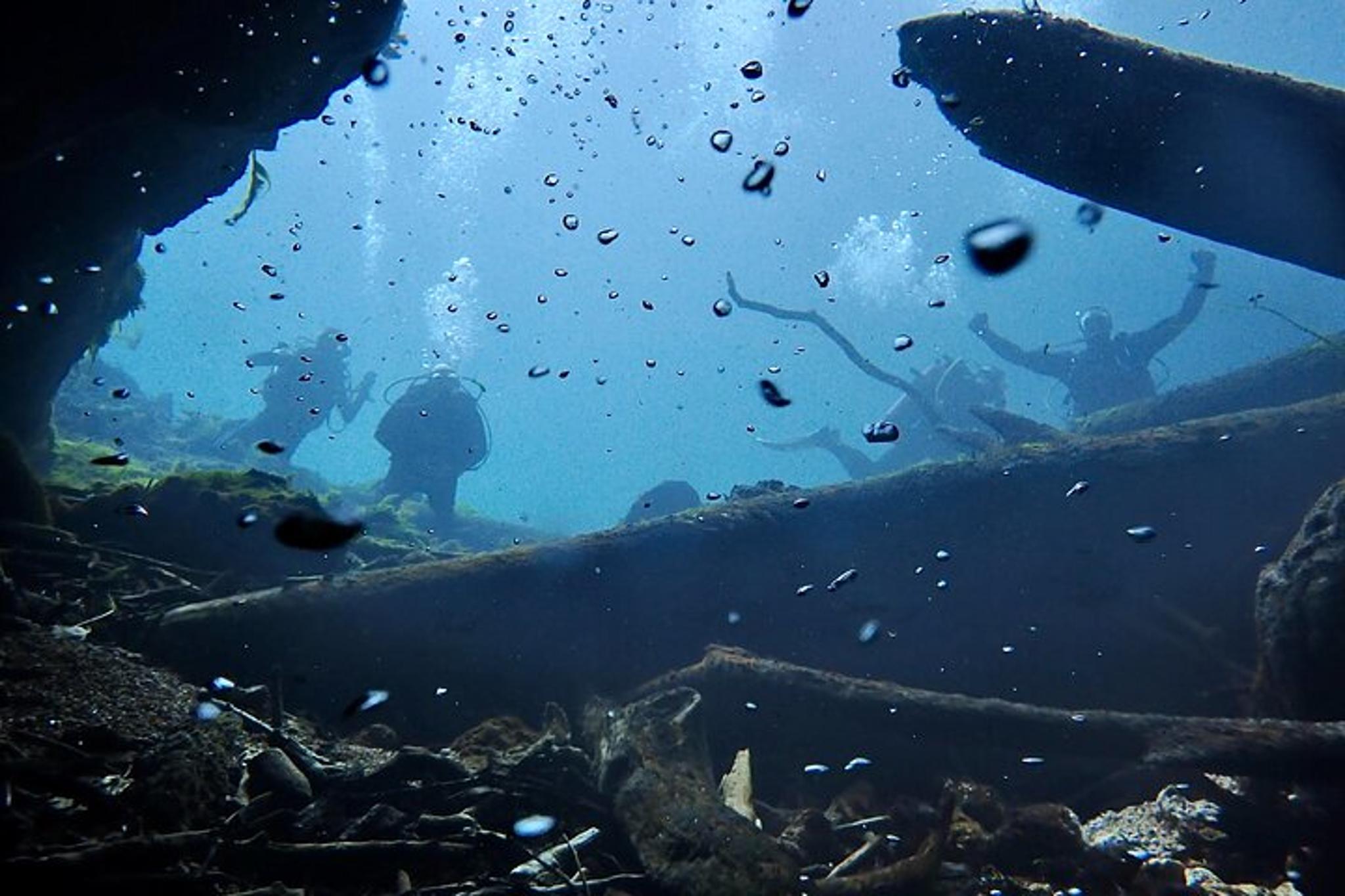 Florida Rainbow River Snorkel or Dive Tour - Image 6