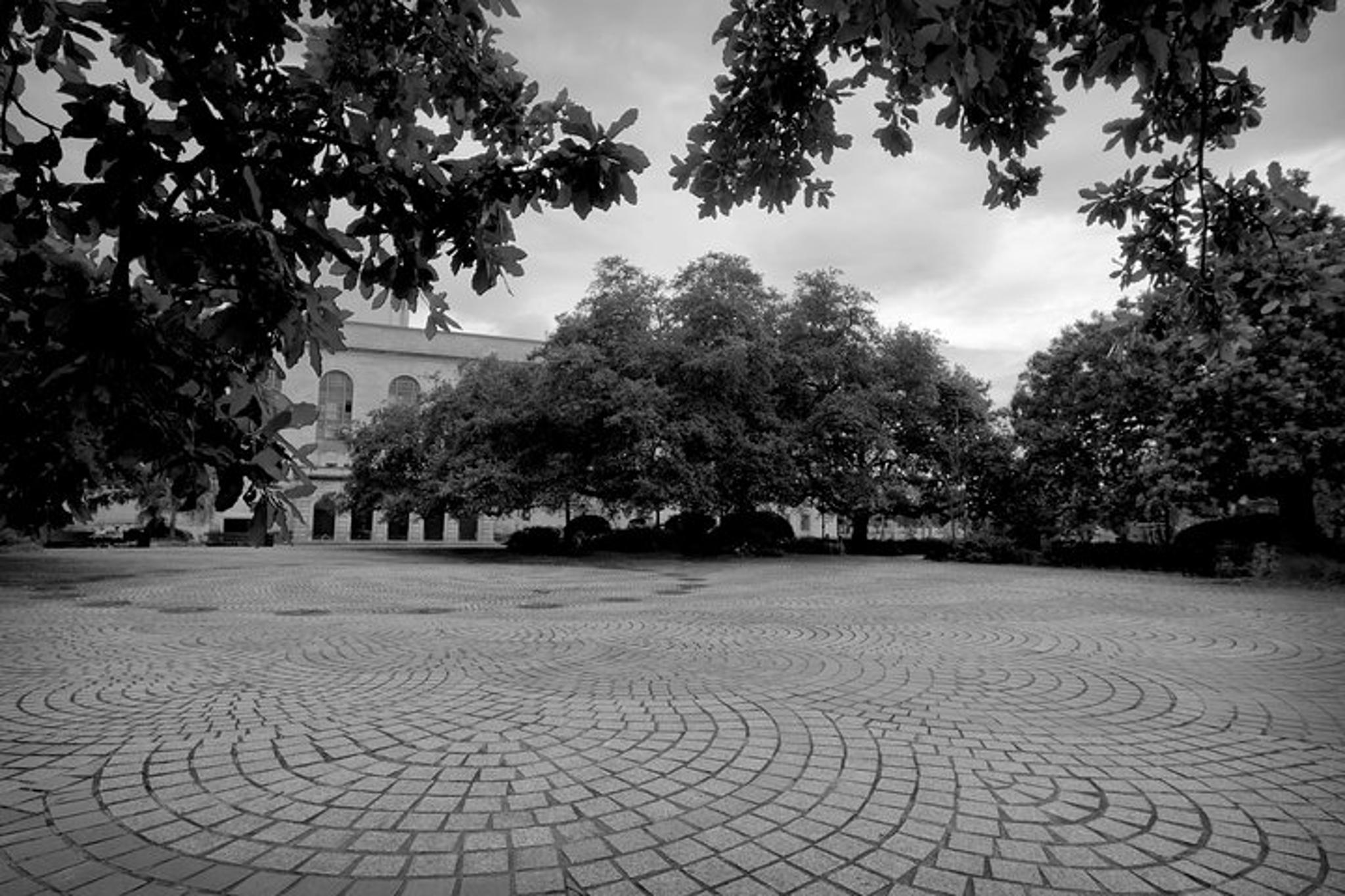 New Orleans French Quarter and Treme Walking Tour - Image 6