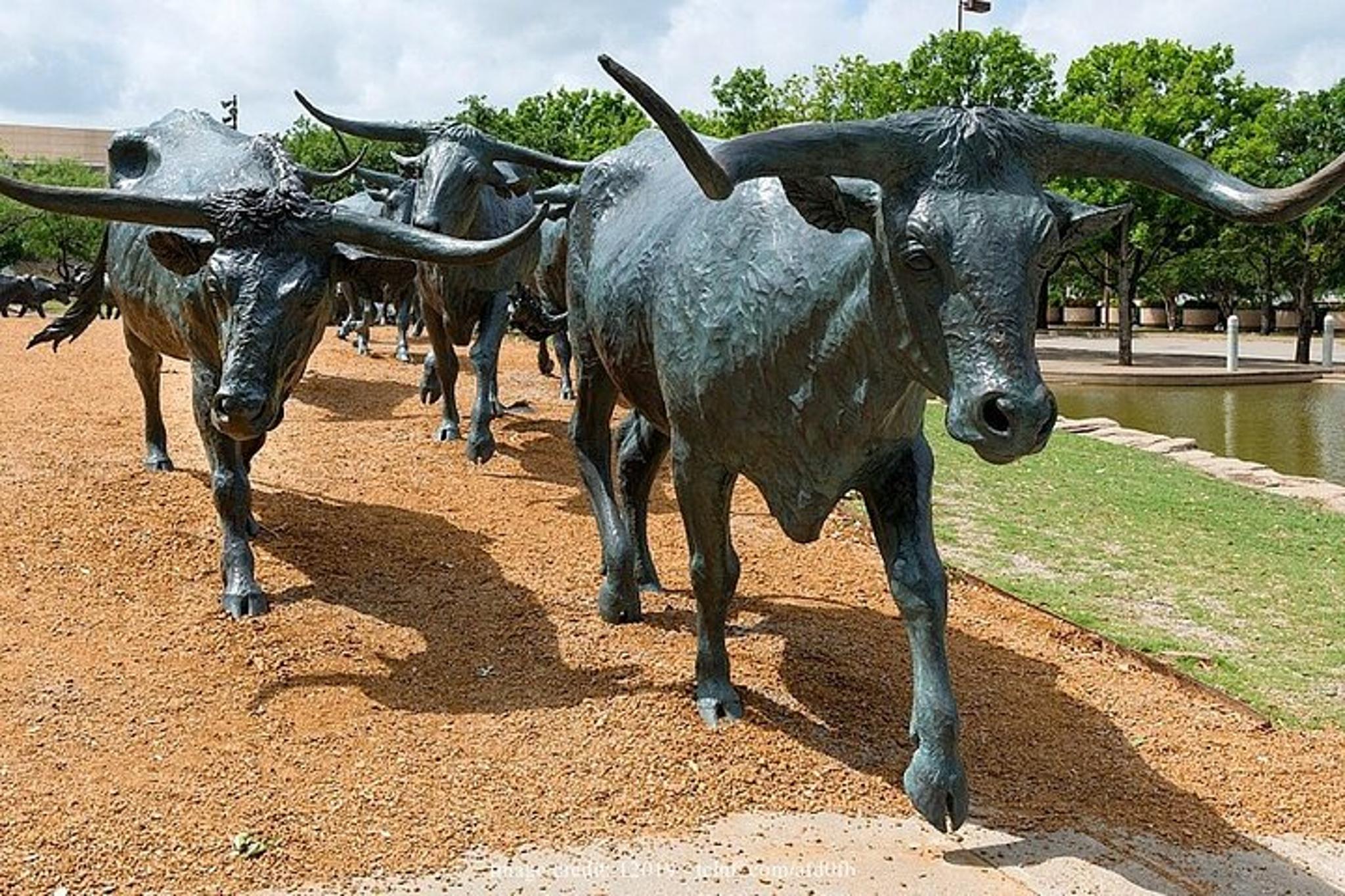 Dallas Private Walking Tour - Image 5