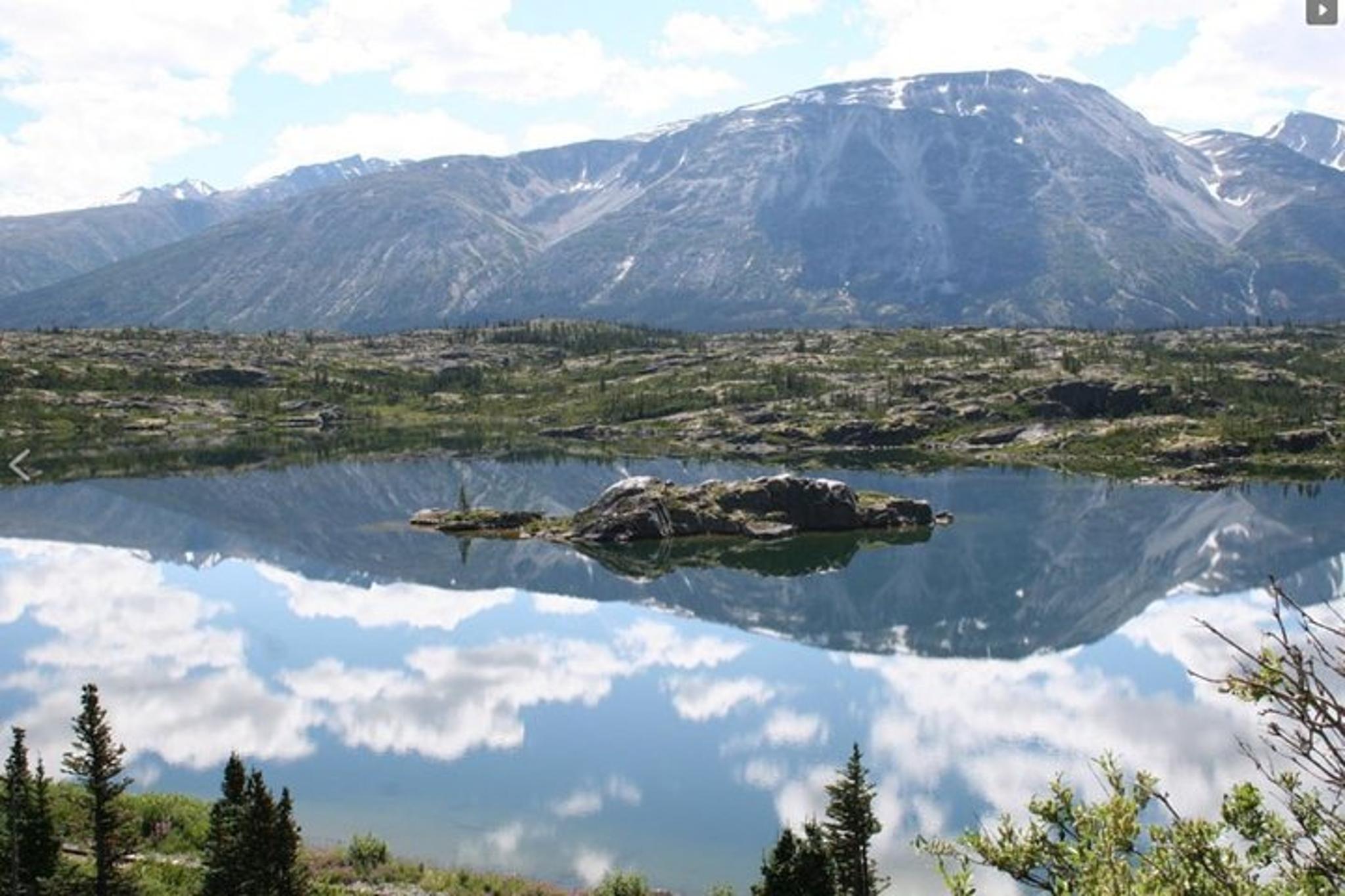 Skagway Yukon Dog Sledding and Sightseeing Tour - Image 4