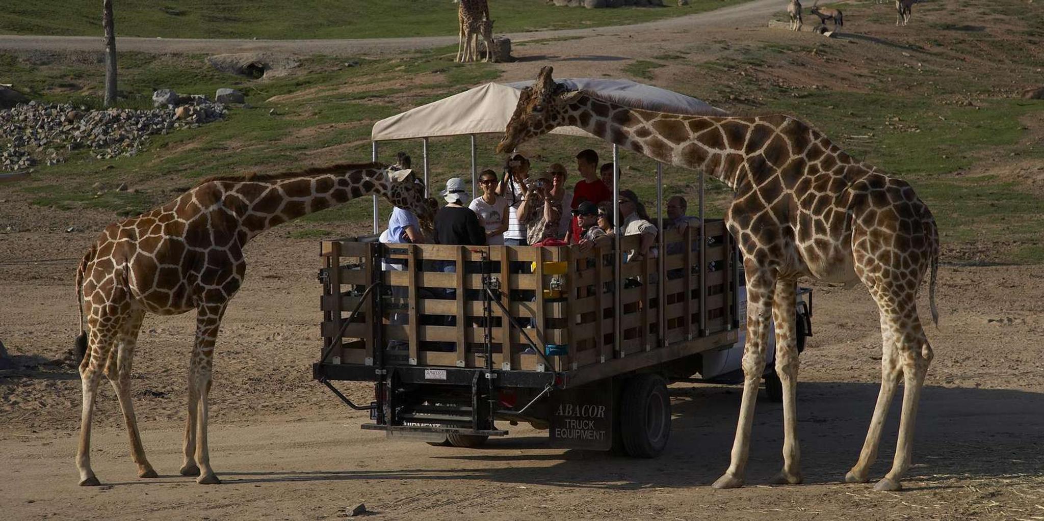 San Diego Zoo and Safari Park 2-Day Pass - Image 2