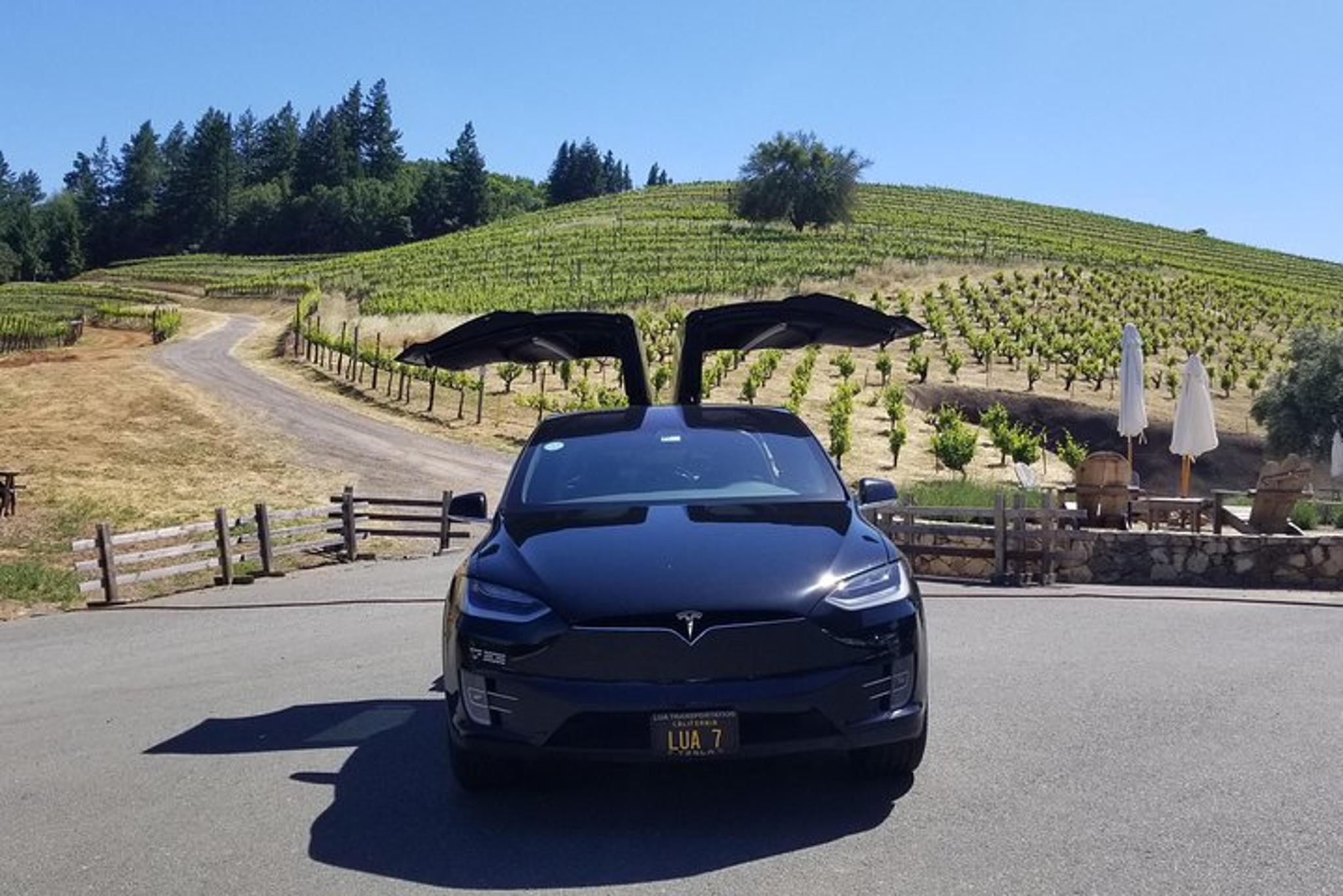 San Francisco Wine Country Tour - Image 6