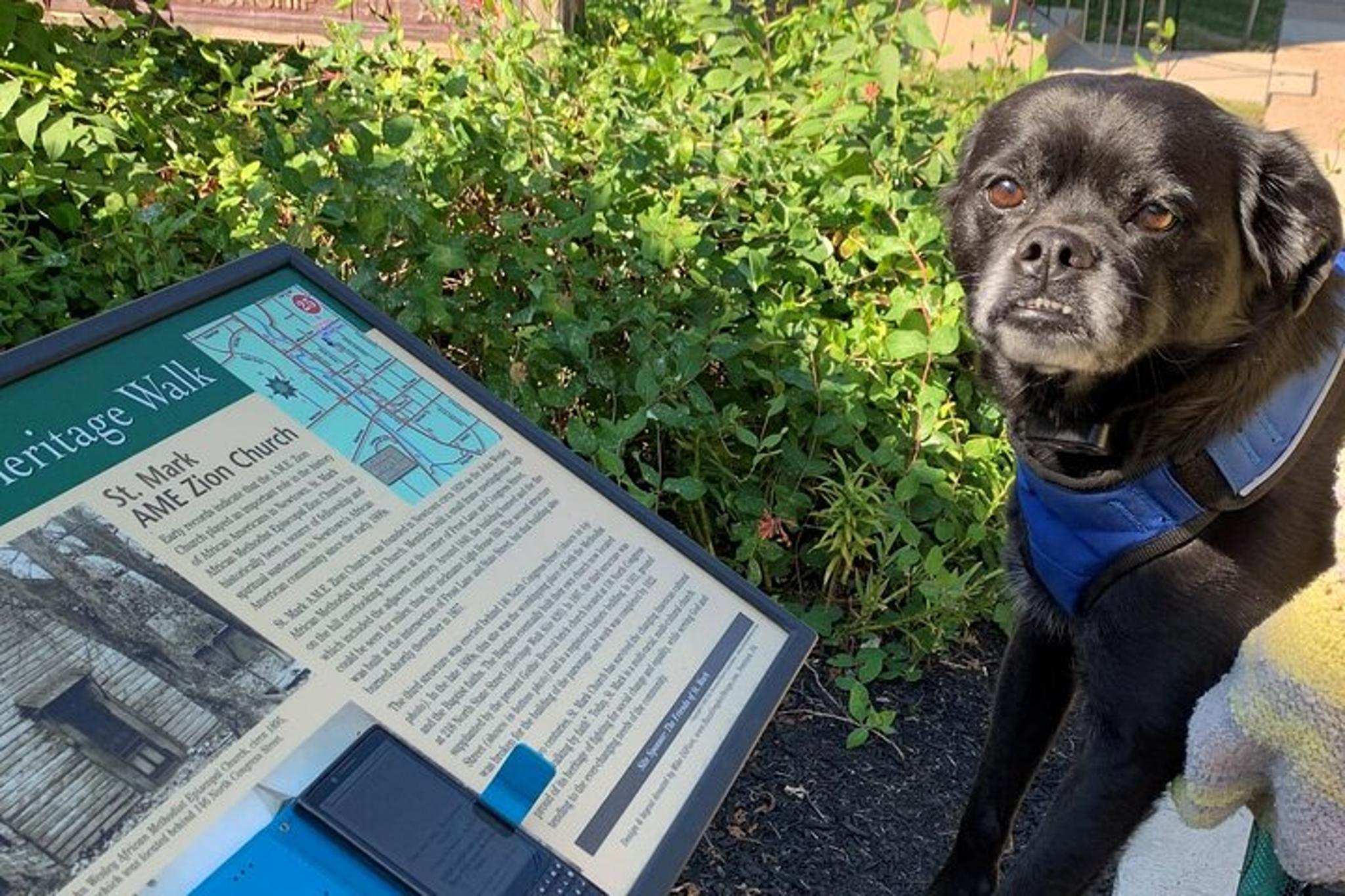 Boston Scavenger Hunt - Image 4