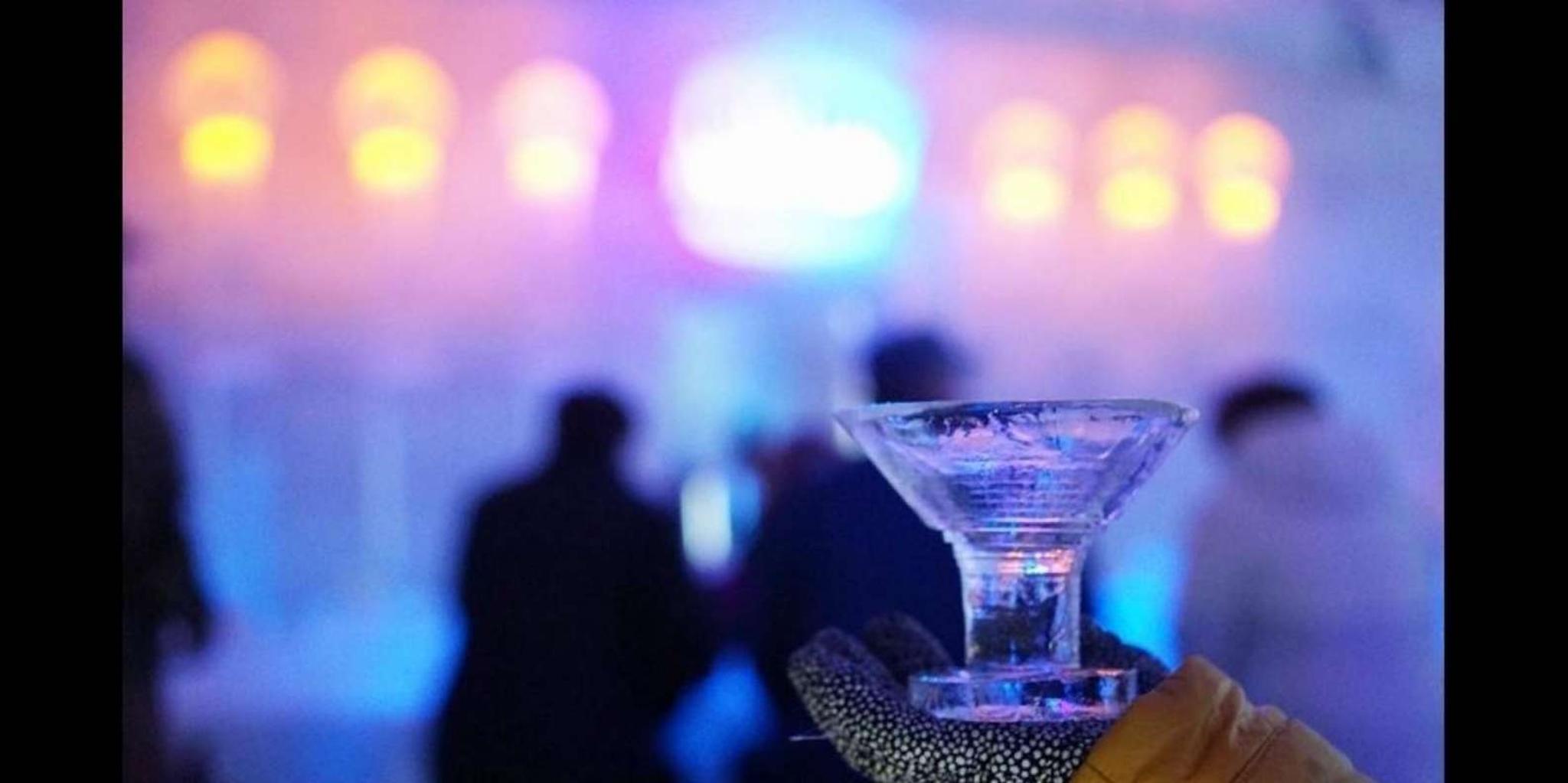 Fairbanks Aurora Ice Museum Tour - Image 3